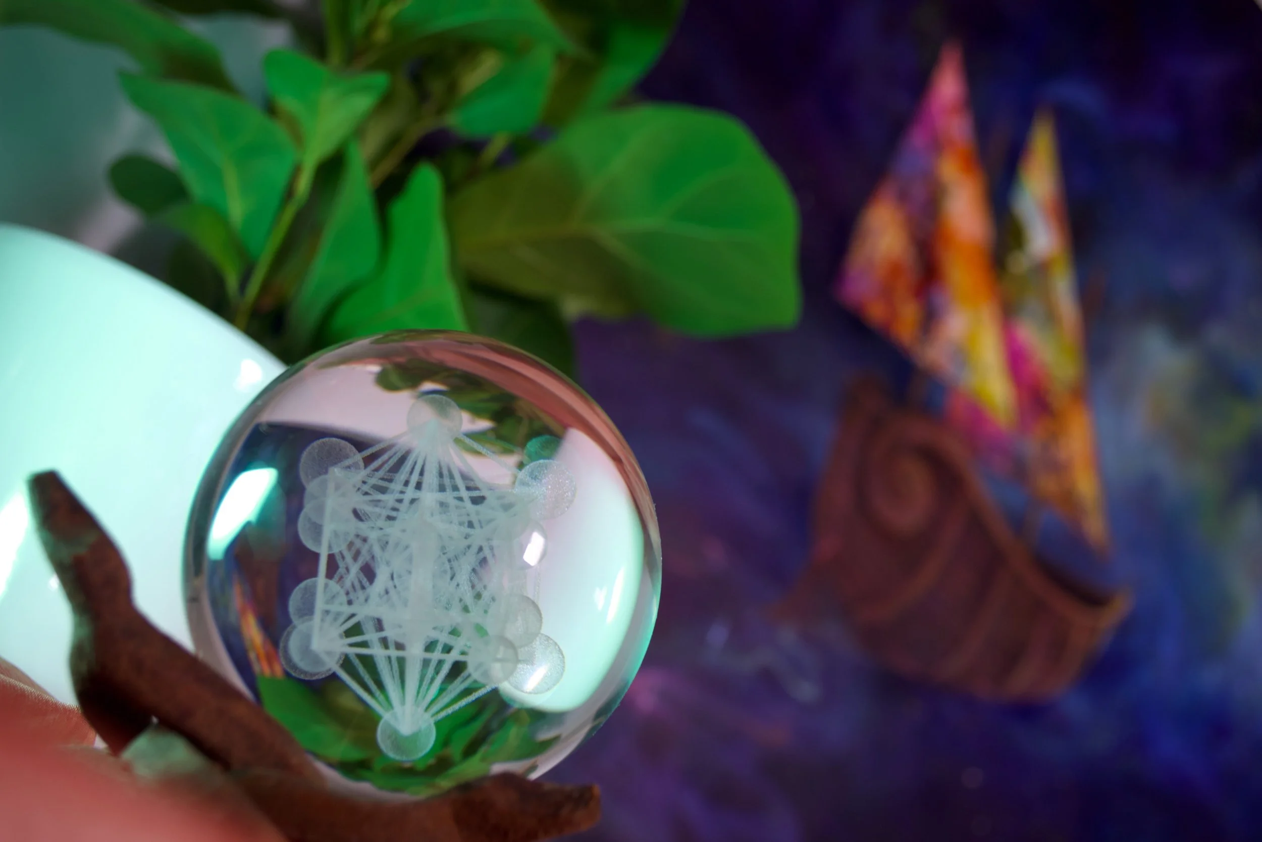 starsharks staged 2.jpeg