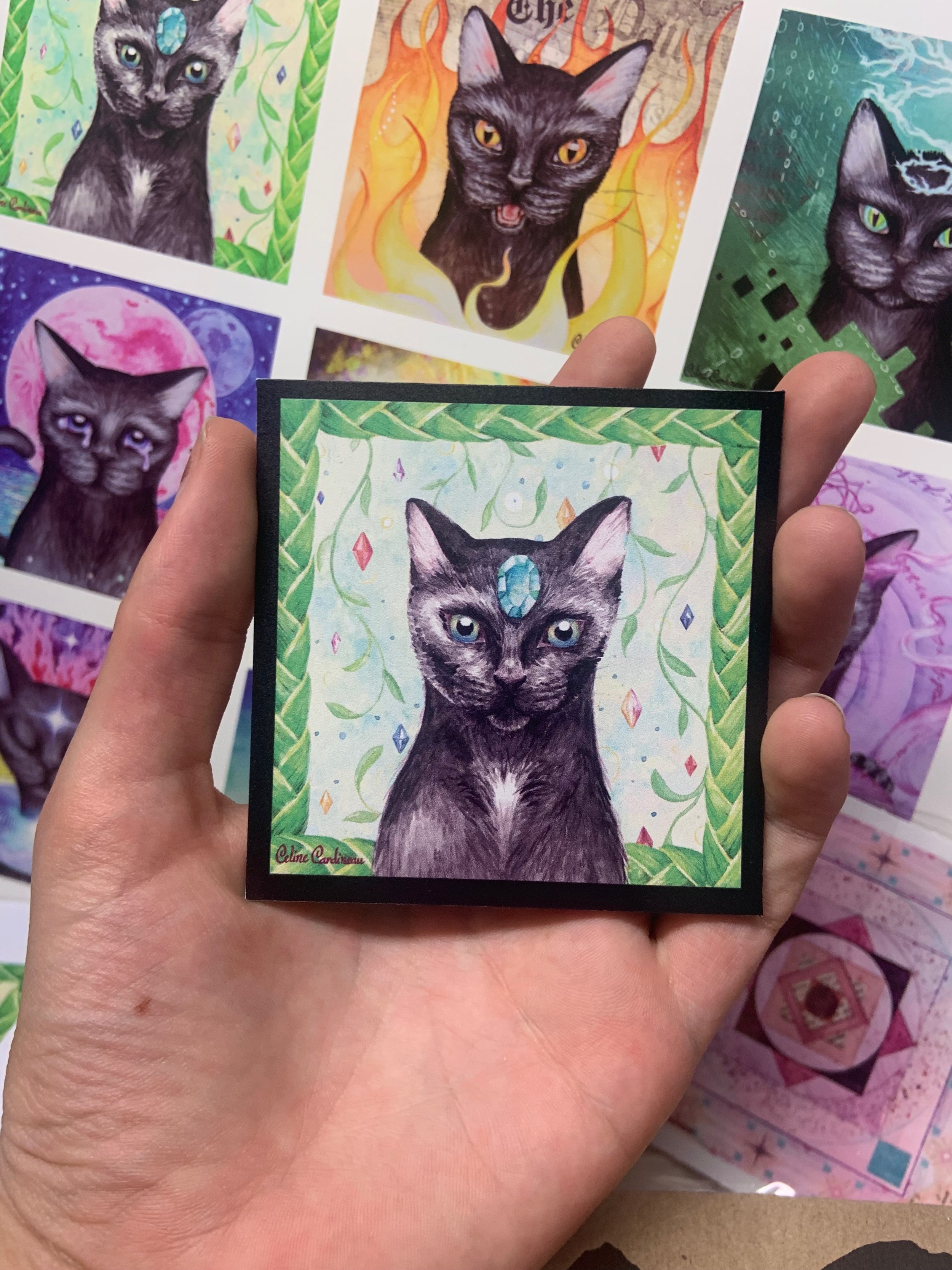 black cats - 1.jpeg