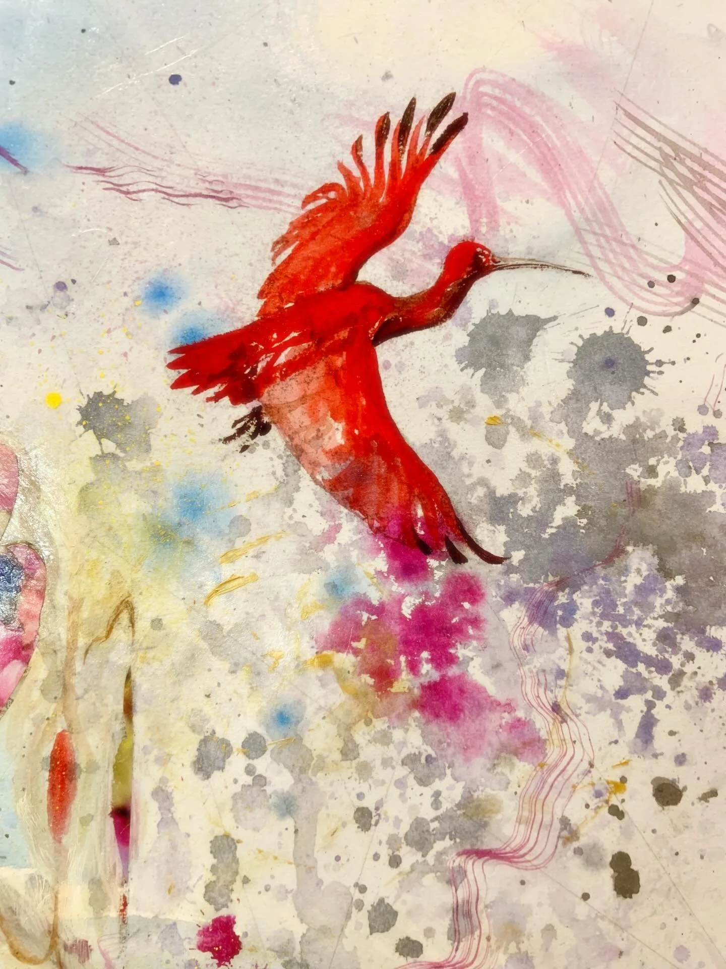 Scarlet ibises, for a splash of red ❤️