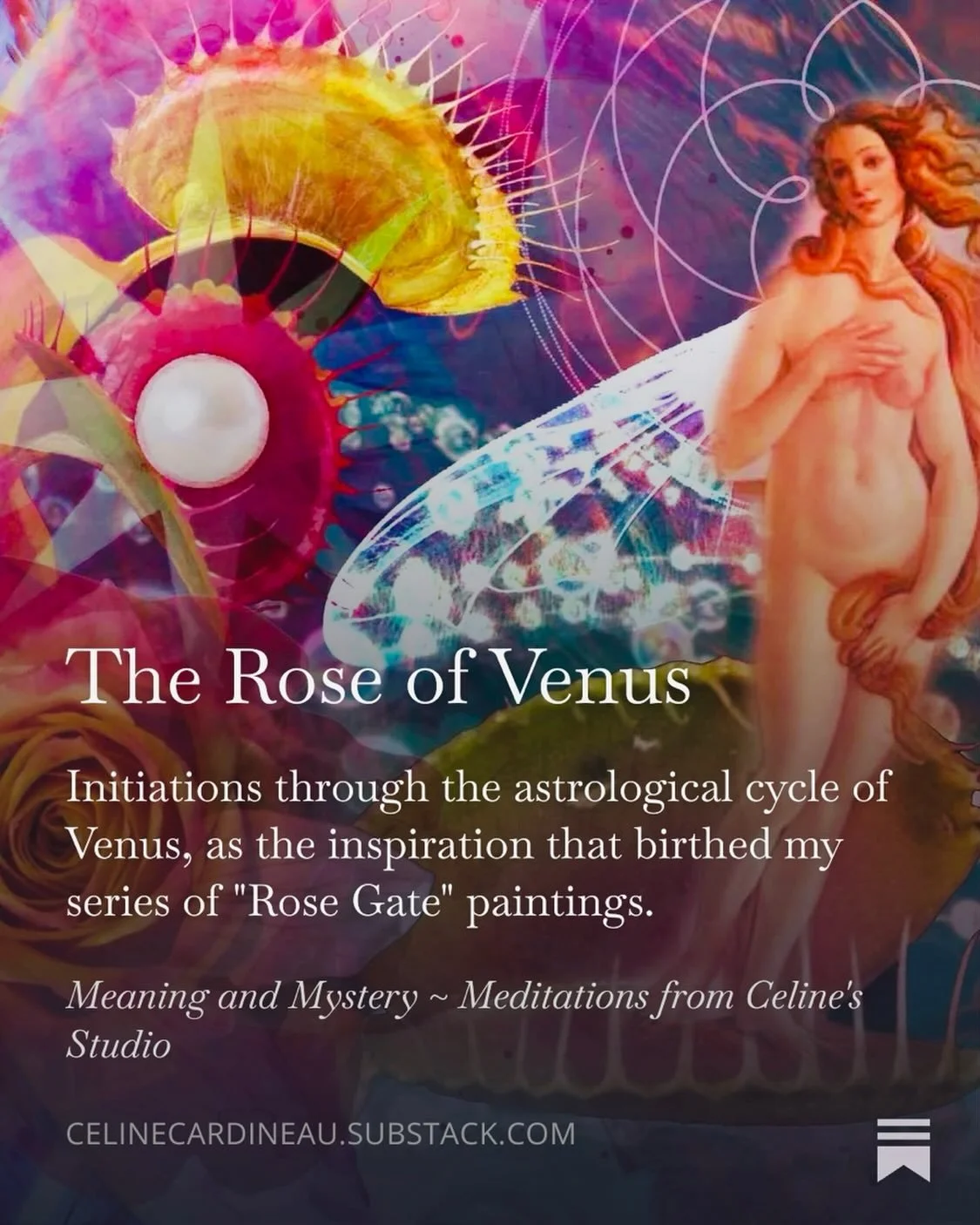 ✨Have you been wondering&hellip; 🤔

🌹 WHY planetary alignments determine which of my &ldquo;Rose Gate&rdquo; paintings is currently 22% off? 

🌹What is the celestial pentagram / Rose of Venus? 

🌹How is Venus both Morning Star &amp; Evening Star?