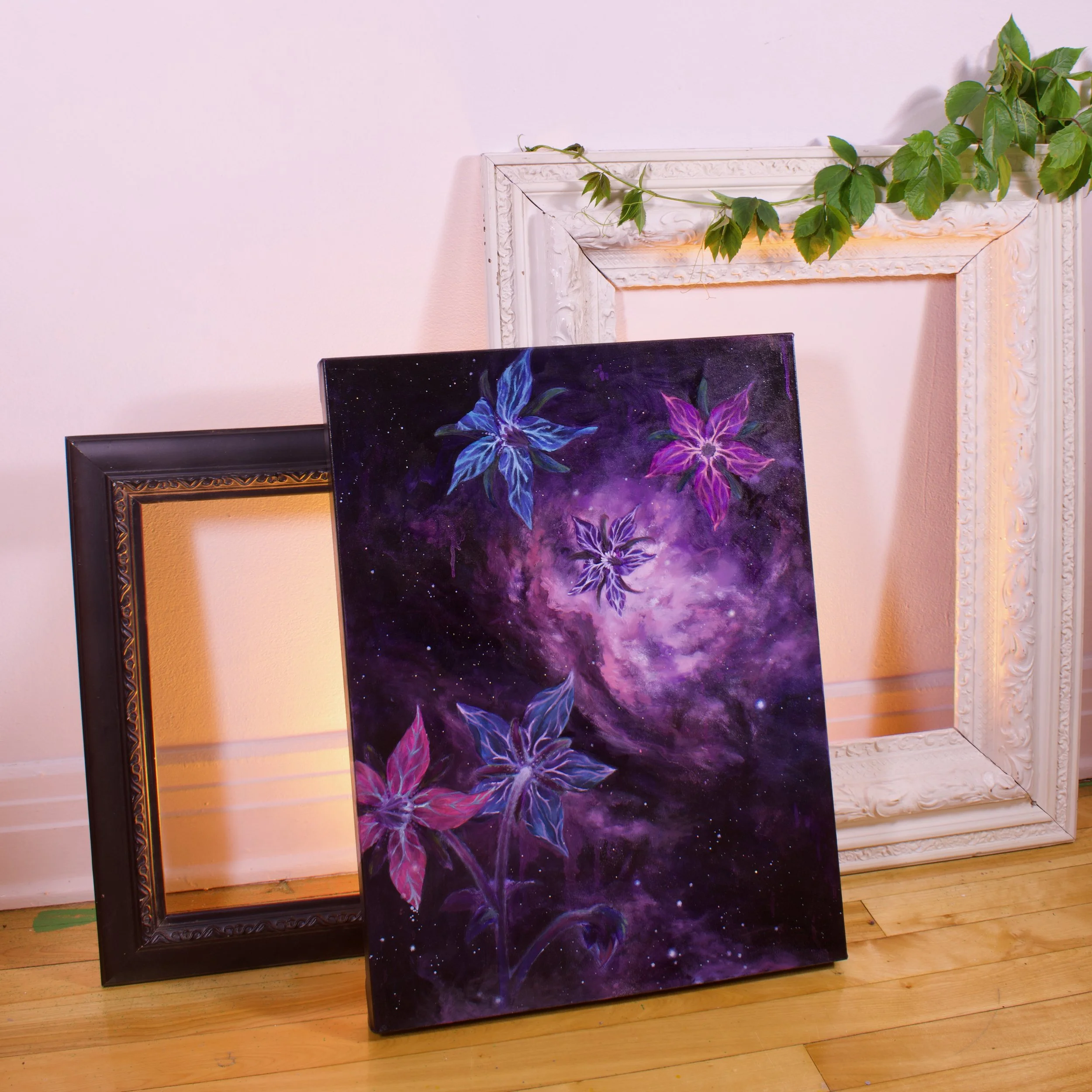 borage on floor 3.jpeg