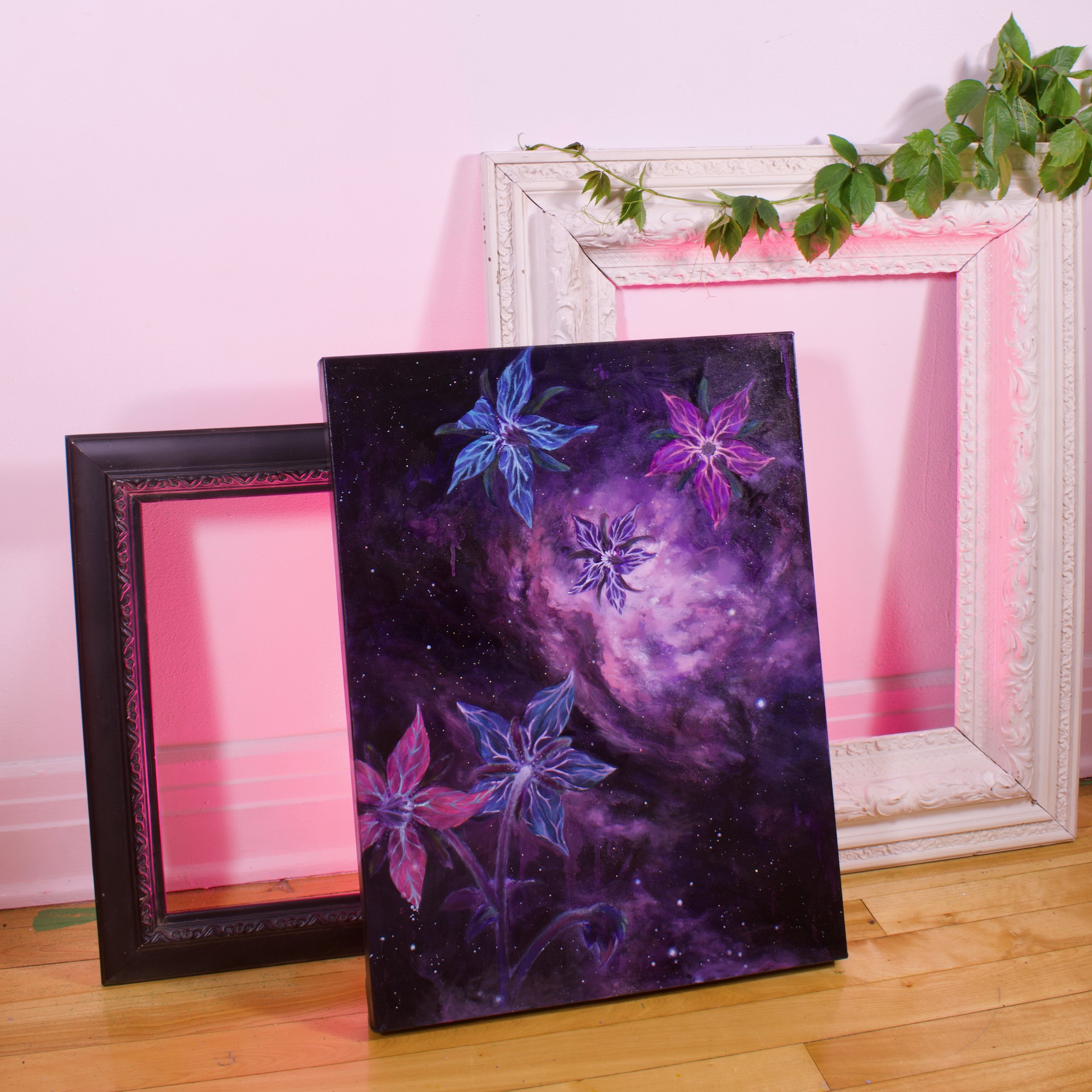 borage on floor 1.jpeg