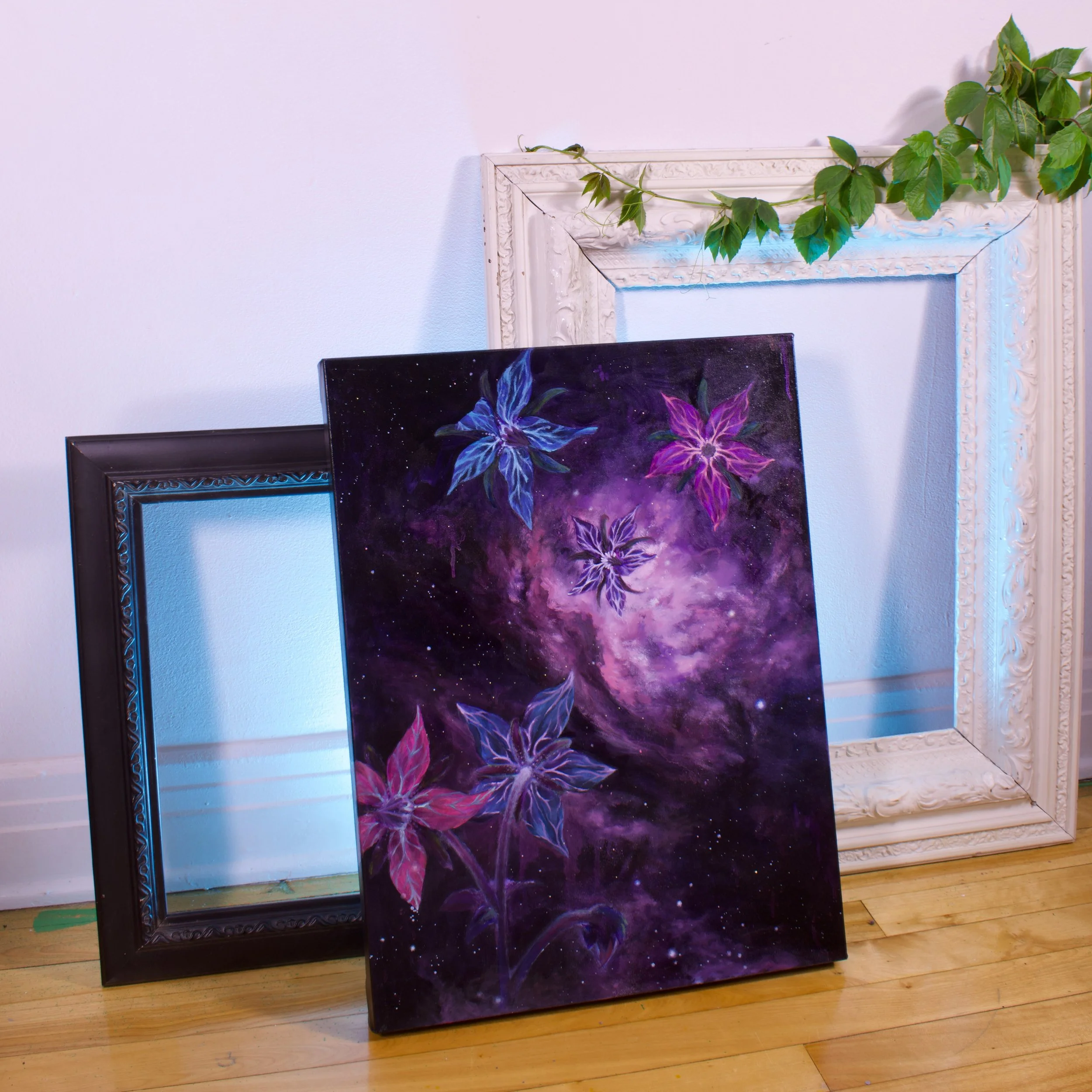 borage on floor 2.jpeg