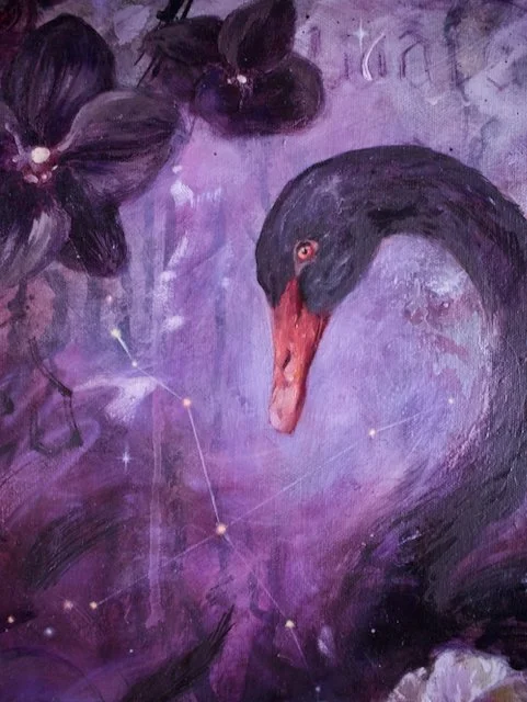 Cygnus closeups color corrected - 2.jpeg