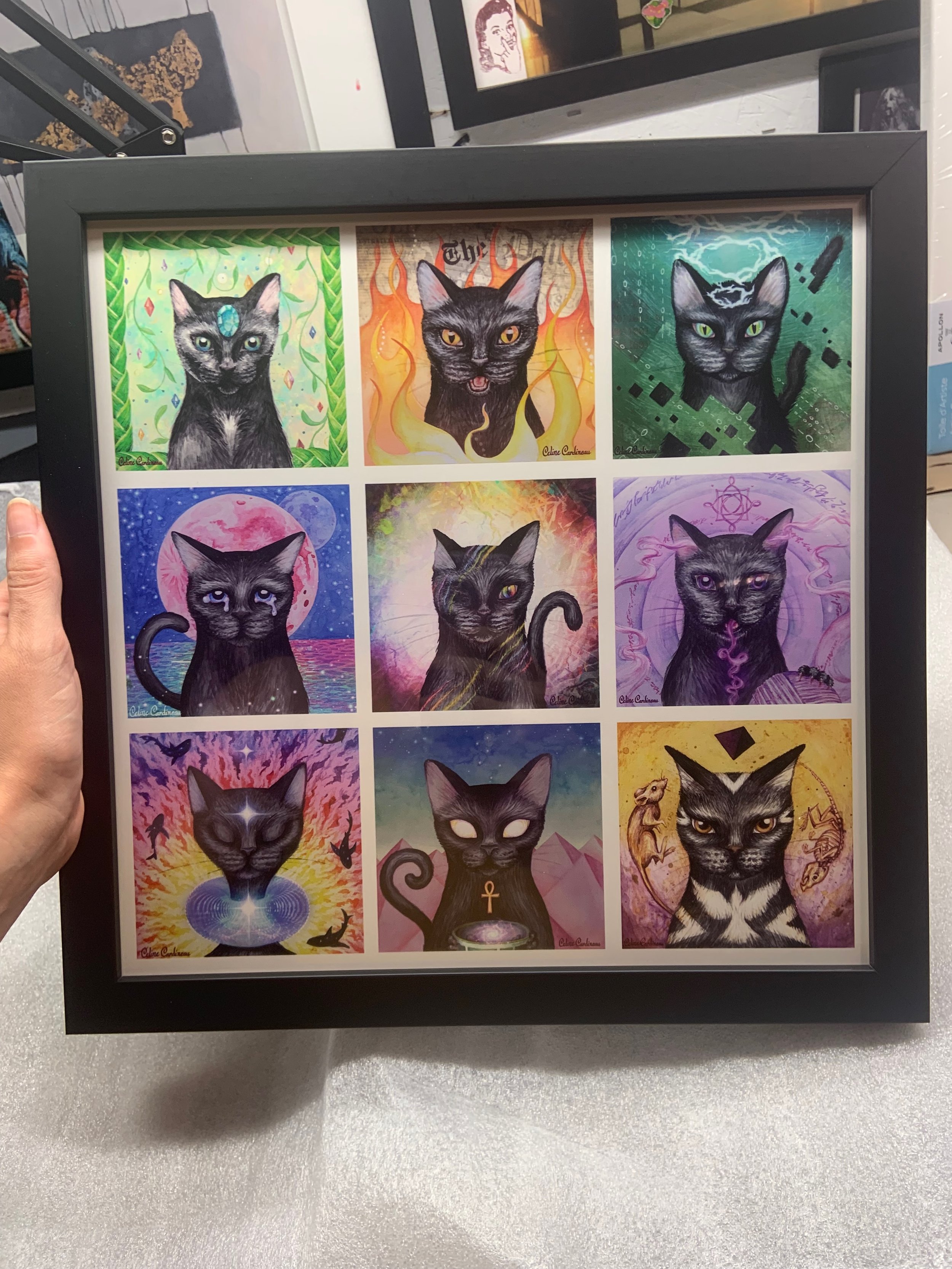 black cats - 2.jpeg