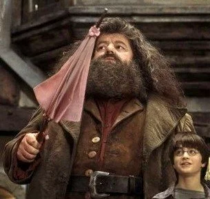 Hagrid Image.jpg