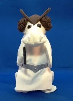 Princess Leia
