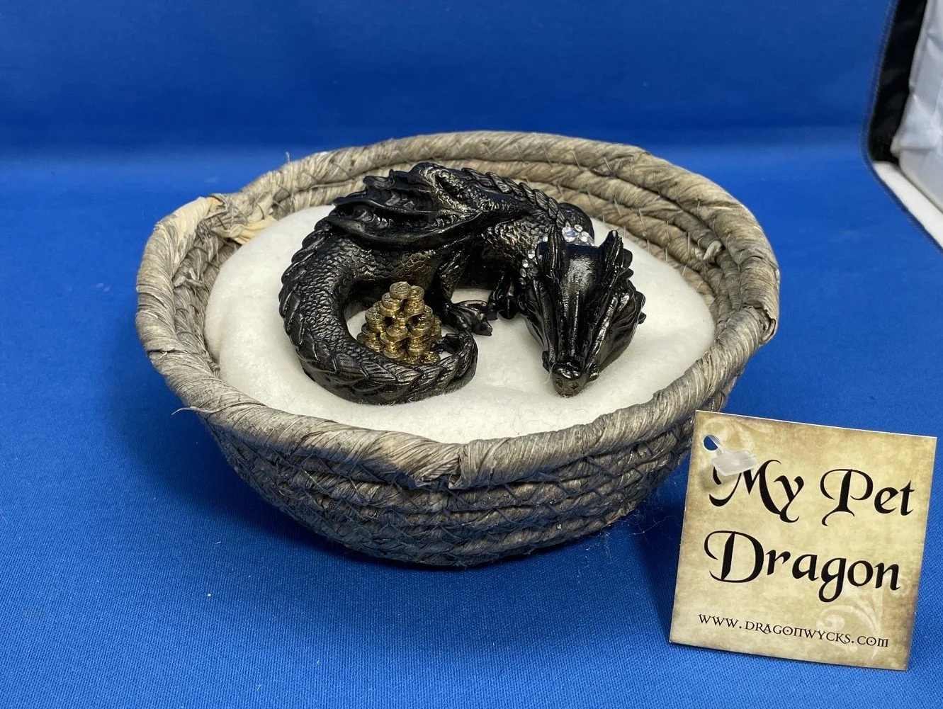 My Pet Dragon Treasure Protector