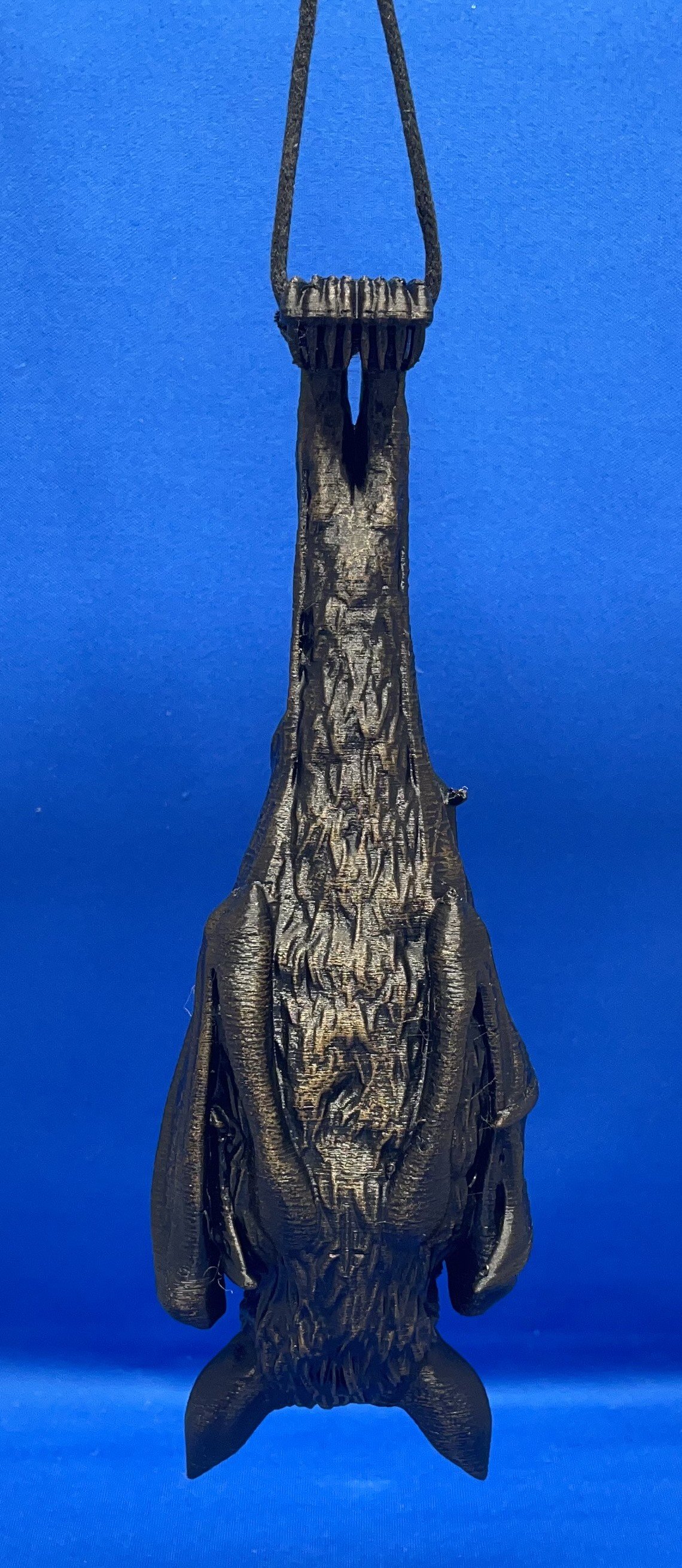 Hanging Bat Back.jpg