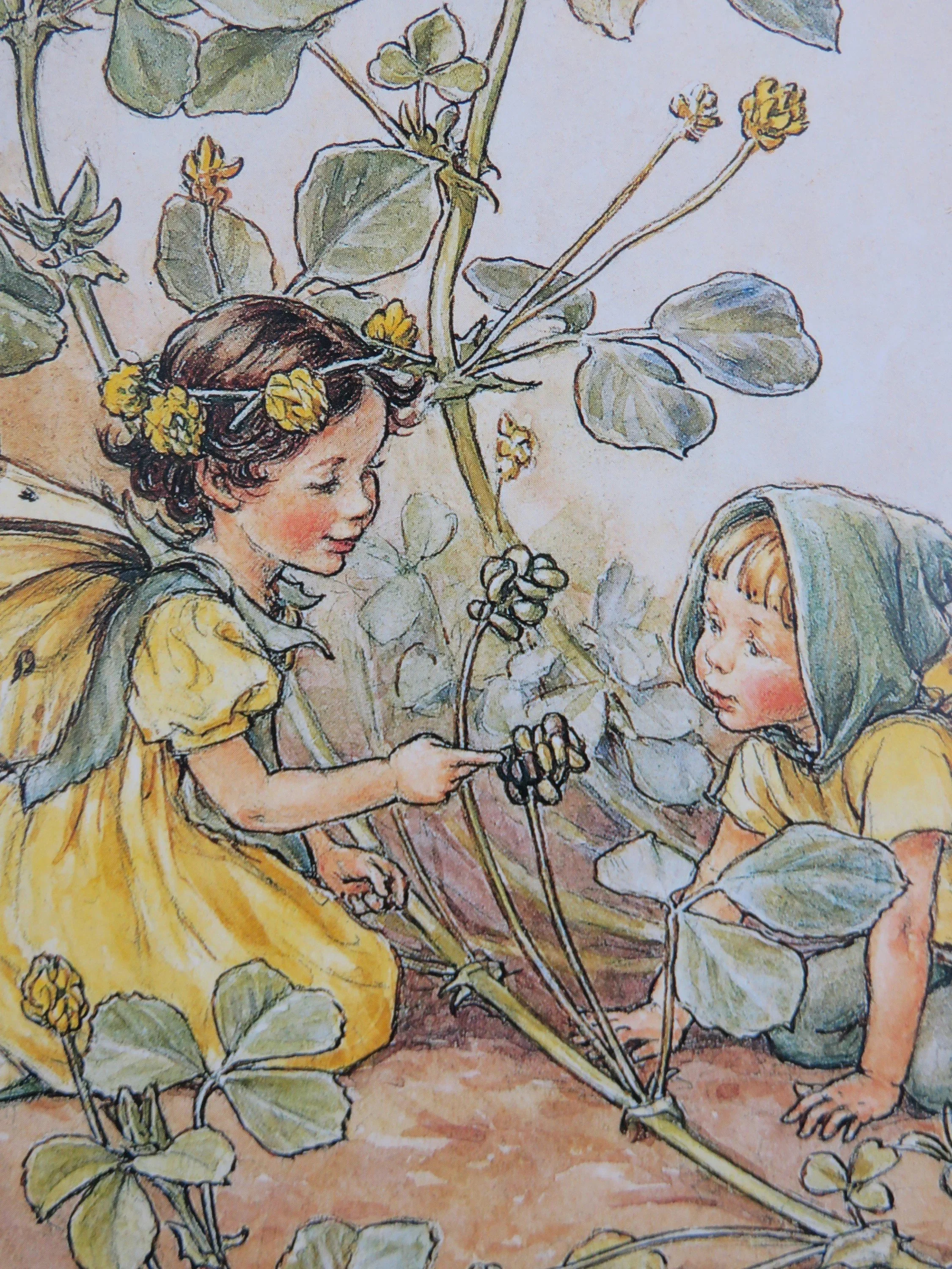 1256 Black Medic Fairy 2.jpg