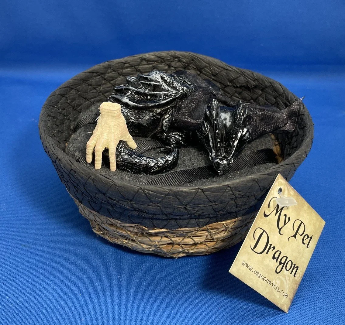 My Pet Dragon Thing