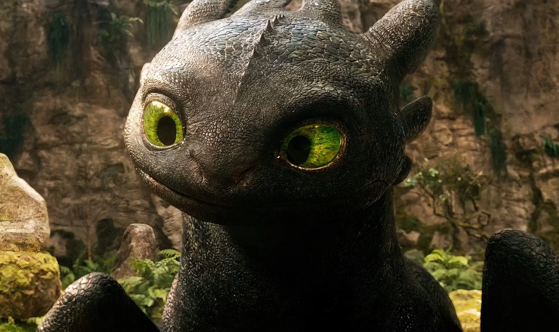 Toothless Image.jpg