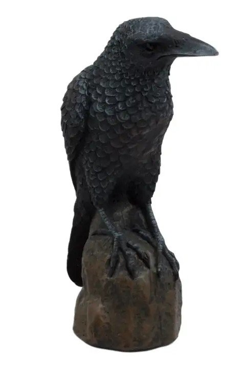 8730 Raven Halloween 1.jpg