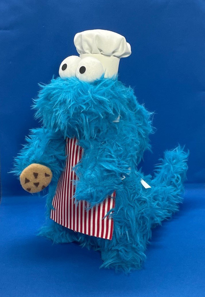 Cookie Monster 3.JPG
