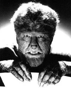 Wolfdragon Image.jpg