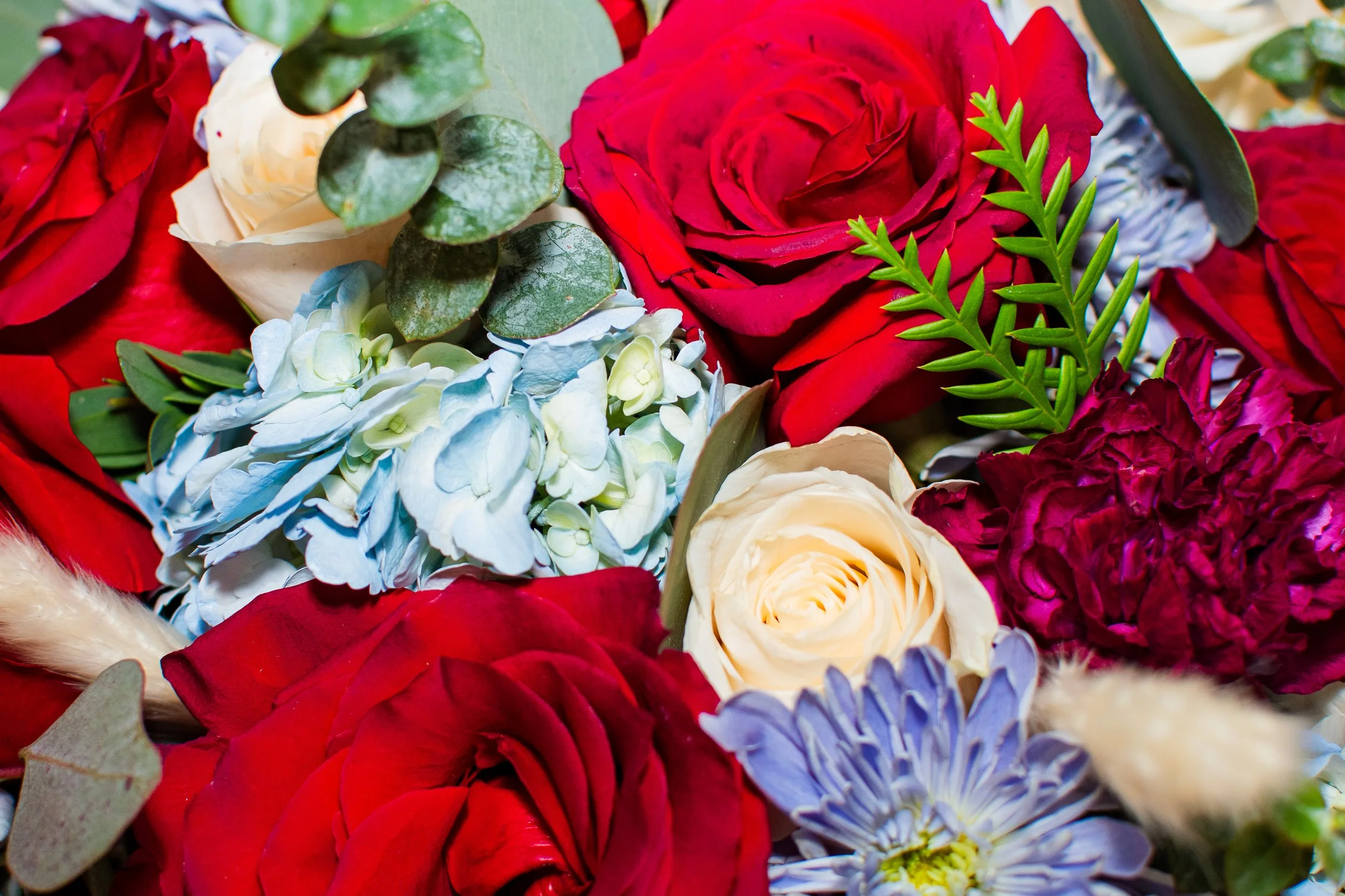 Matt and Rozelle-601.jpg