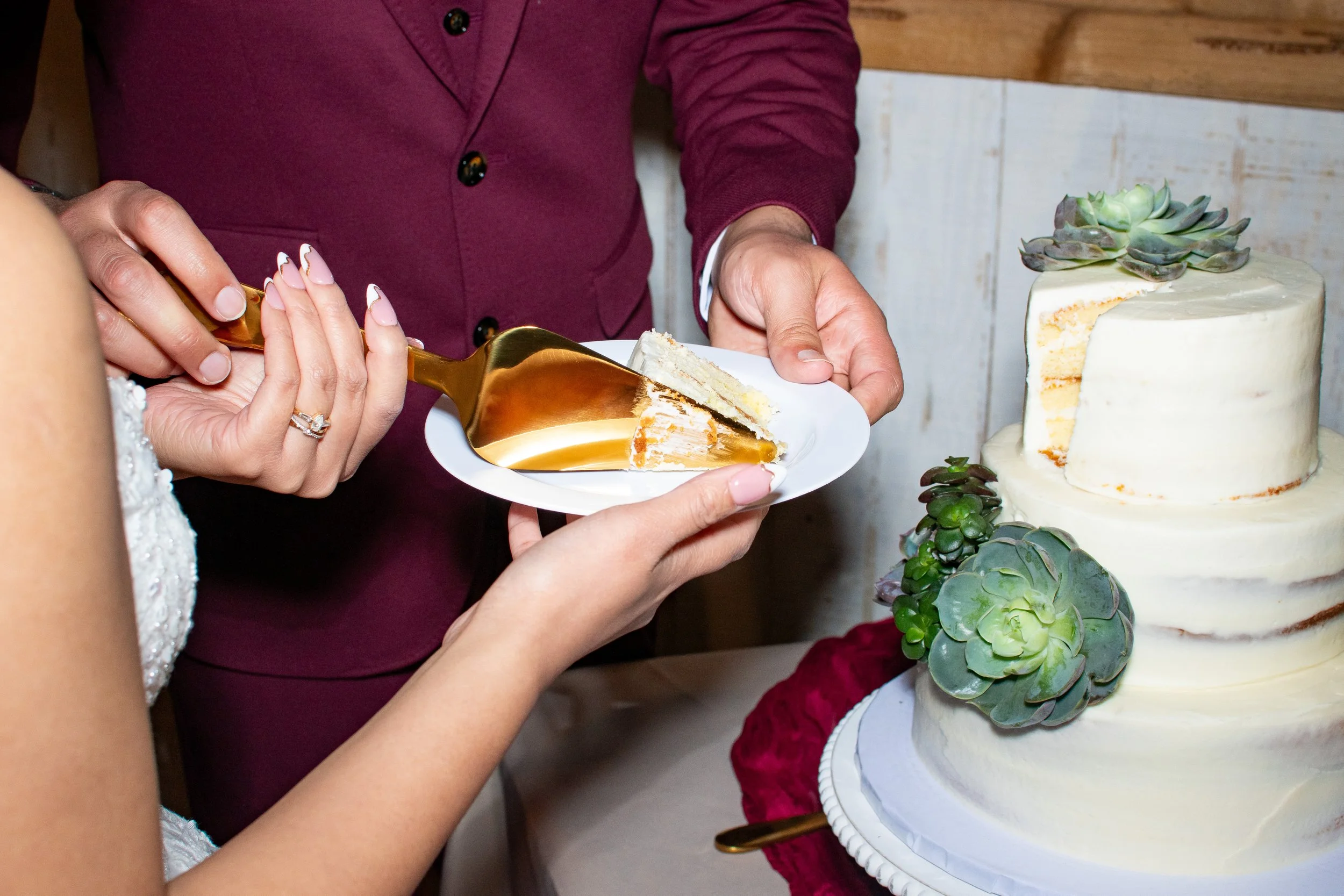 A person is serving a slice of layered cake with white icing onto a small white plate. The cake is on a table next to a plant with green succulent leaves.