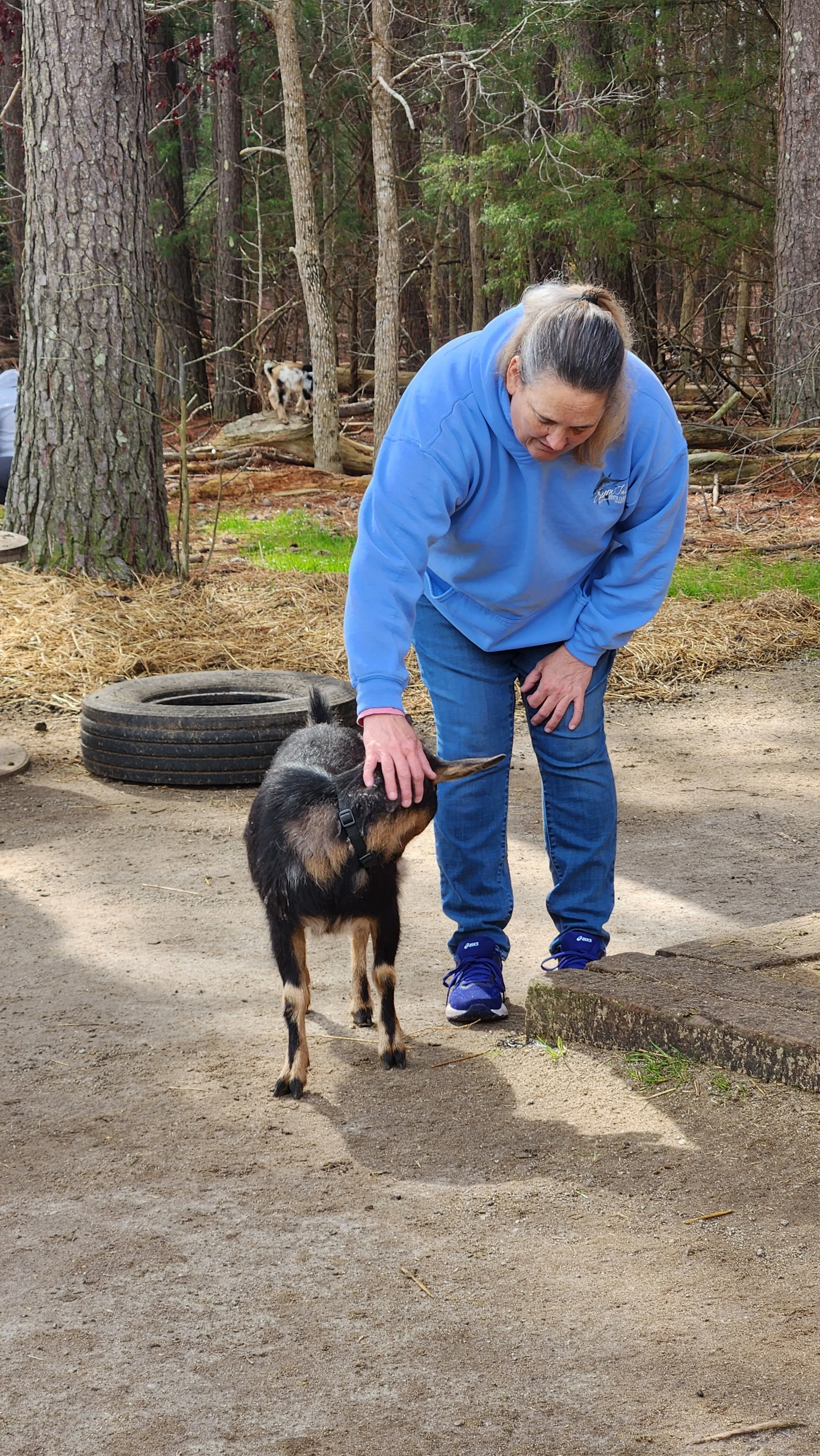 A woman in a blue hoodie petting a young goat on a dirt path in a wooded area with trees and logs in the background.