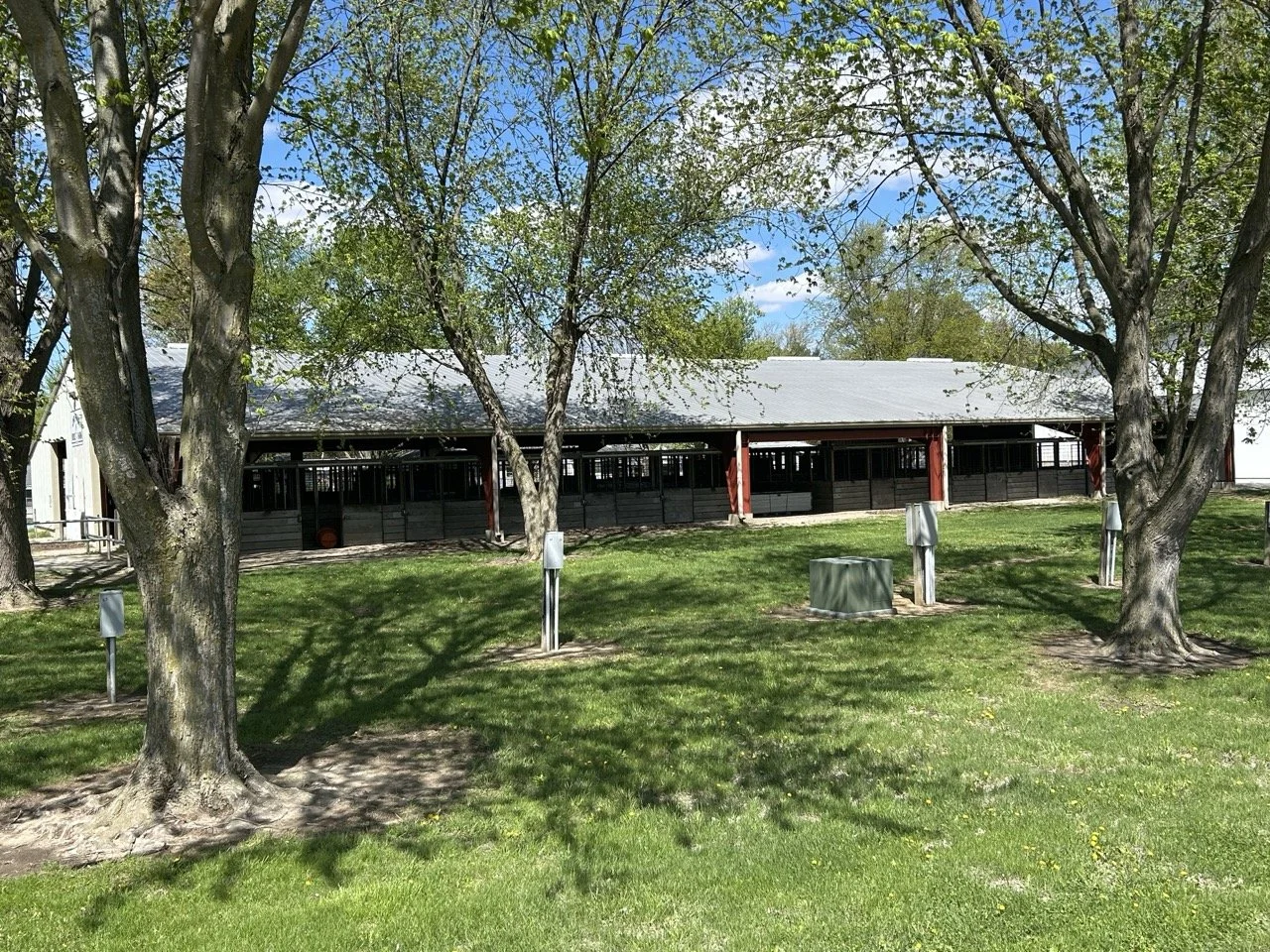 HorseArena5.jpeg