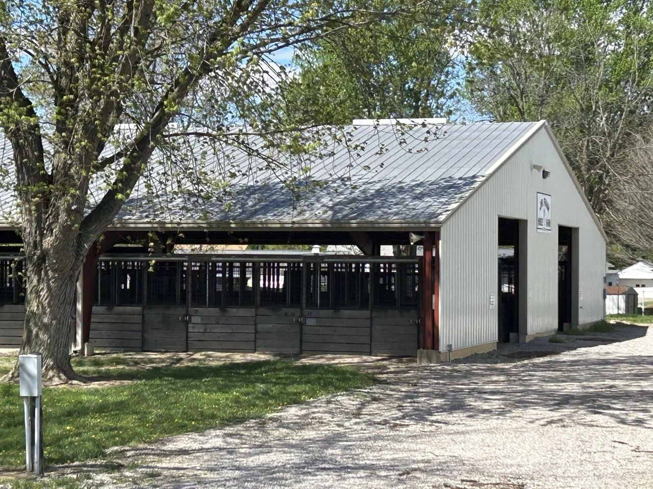 HorseArena2.jpeg