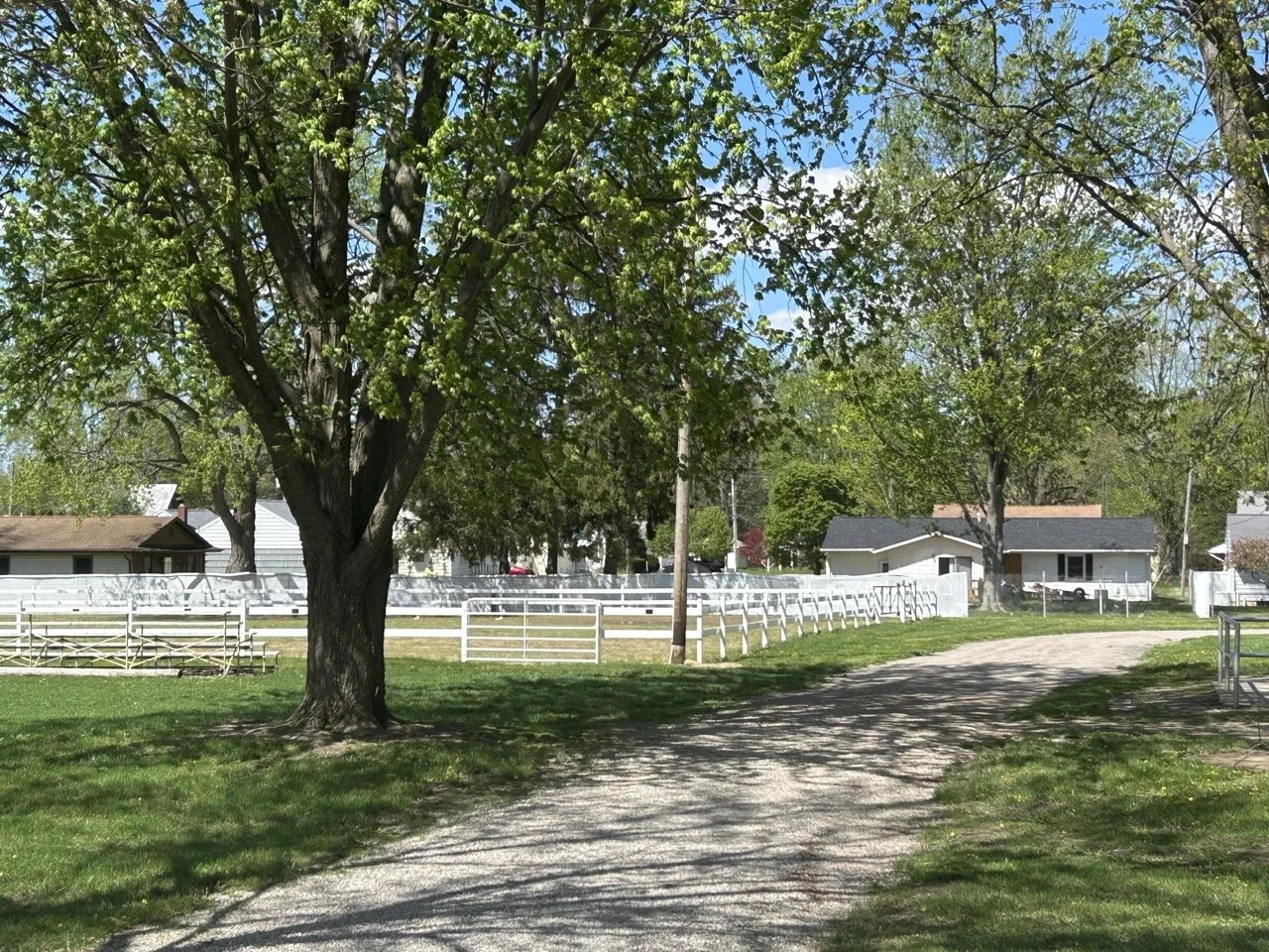 HorseArena3.jpeg