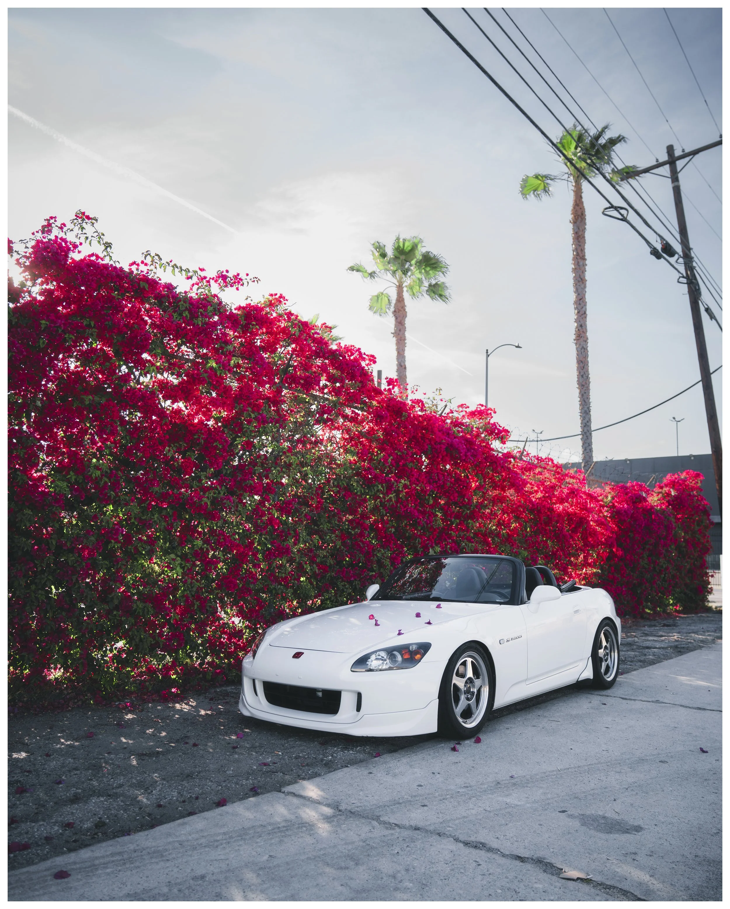 s2k1 copy.jpg