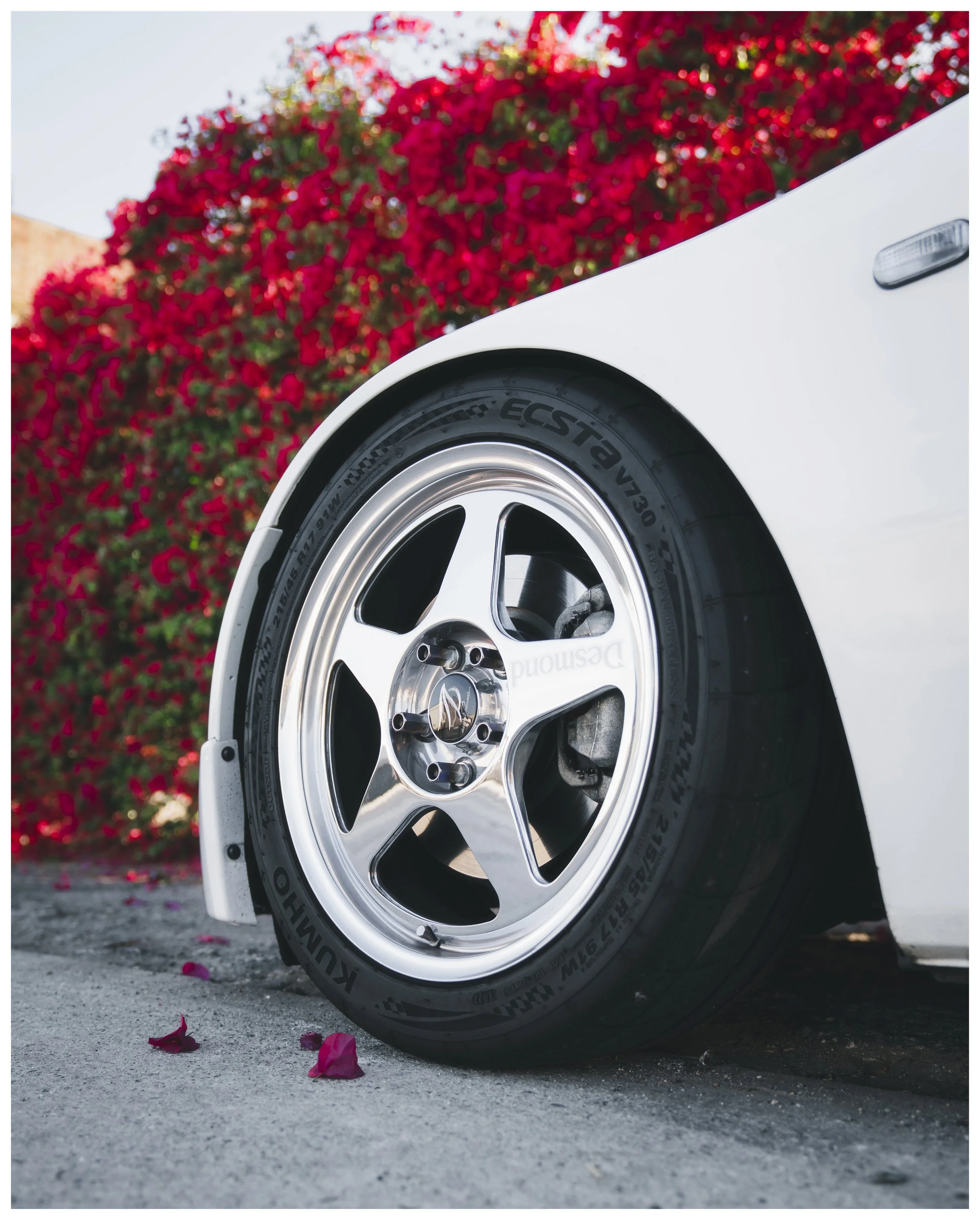 skwheels copy.jpg