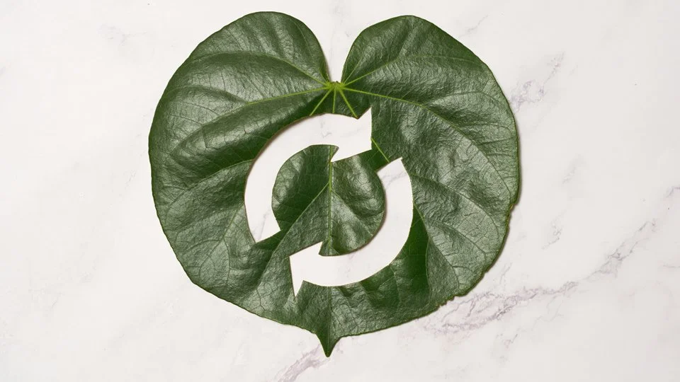 A green leaf with a cut-out design resembling the recycling symbol, placed on a white marble surface.