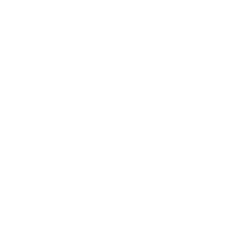 The Tesla logo with the word "SAVANT" written across the center.