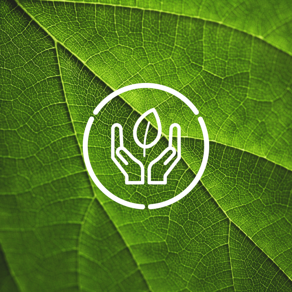 Close-up of a green leaf with a white eco-friendly icon (we are prime brand mark) of hands holding a leaf inside a circle, overlaid.