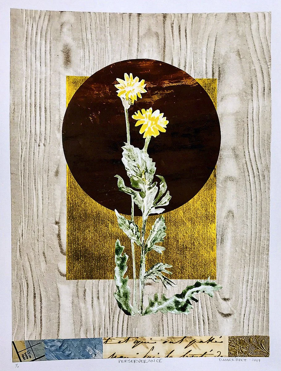 Botanical Fine Art Screen Print, Denise Markbreit, Asheville NC-1.JPG