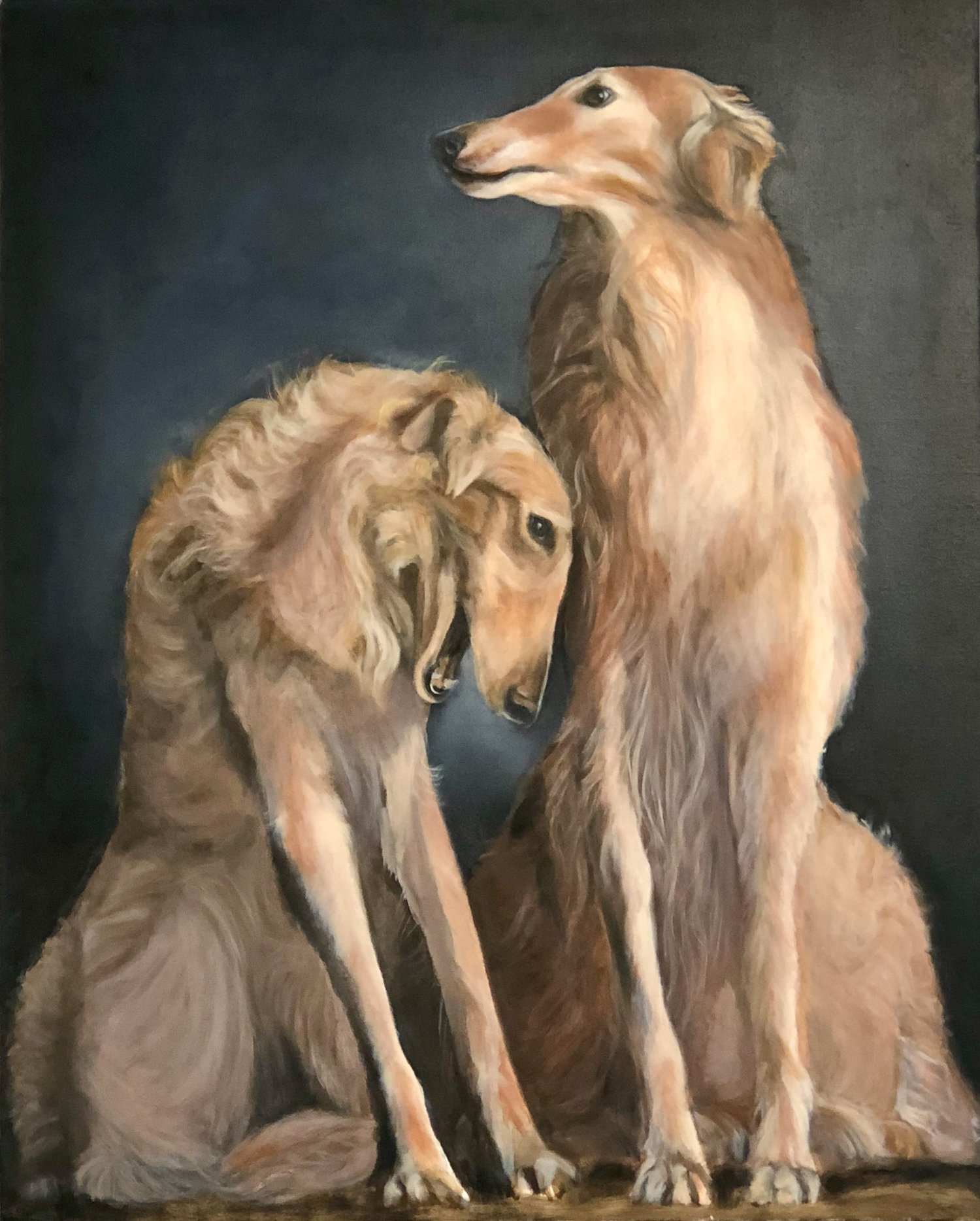 Dogs.jpg