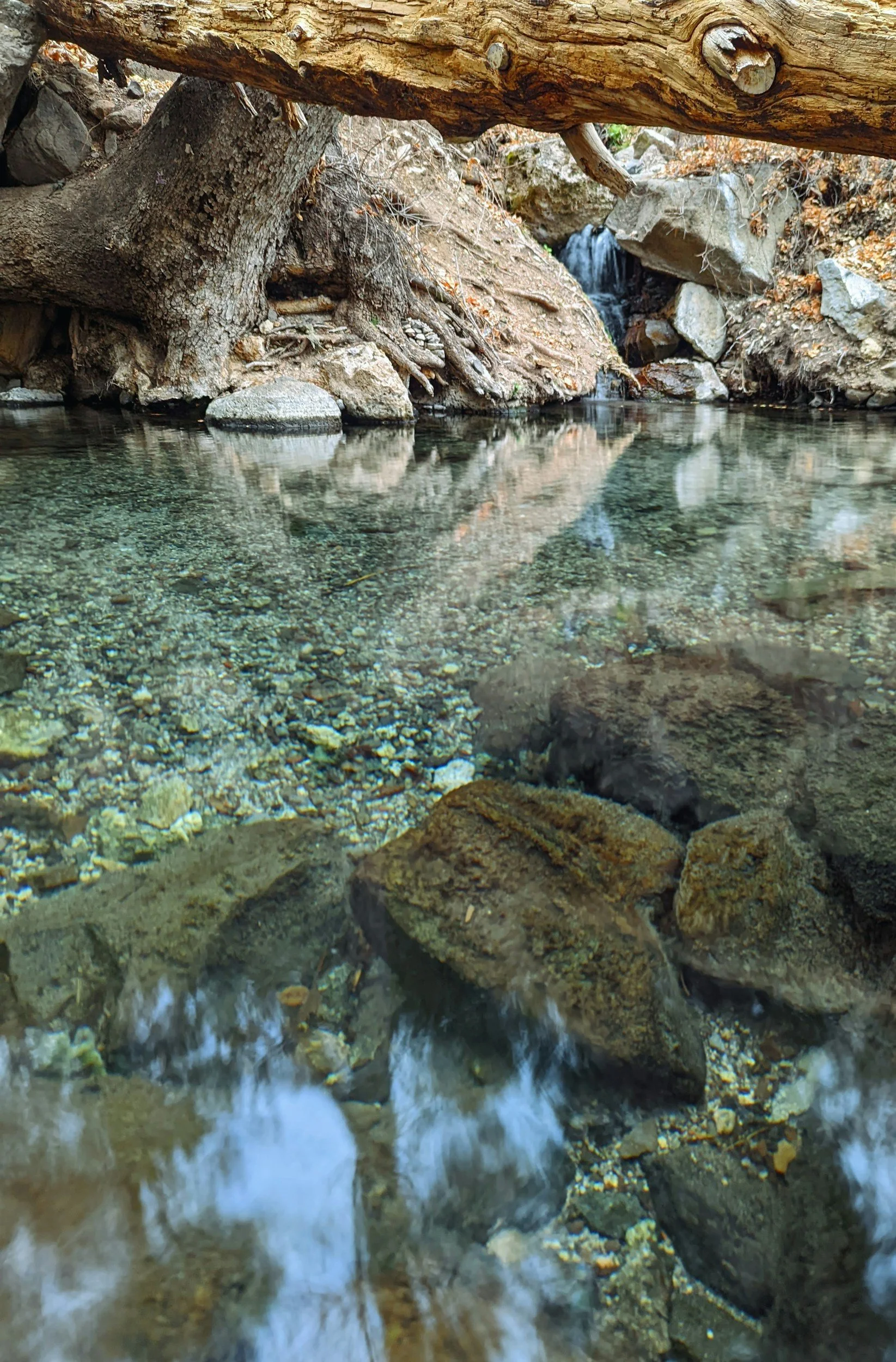 Un río de agua clara que fluye entre rocas y piedras, rodeado de vegetación y un árbol caído. En el fondo se ve una pequeña cascada.