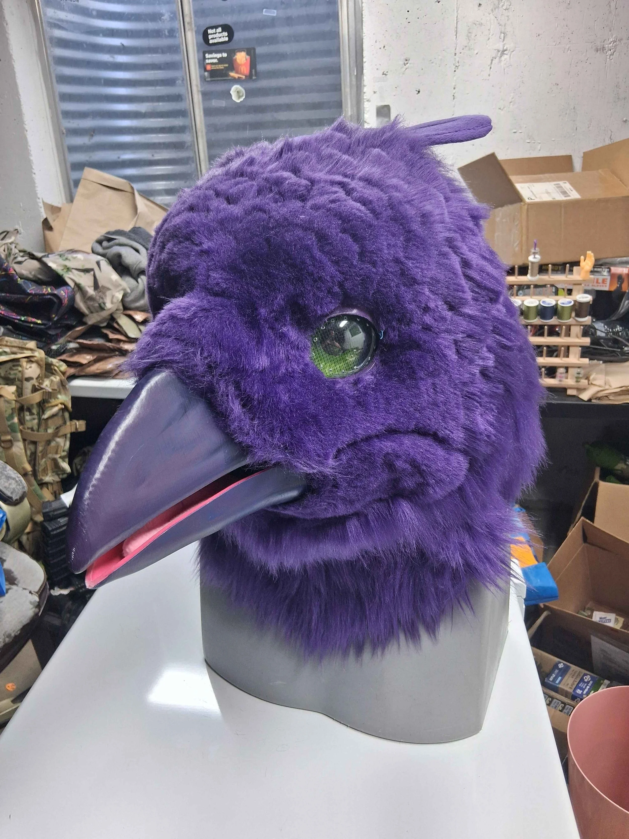 Chip.jpg