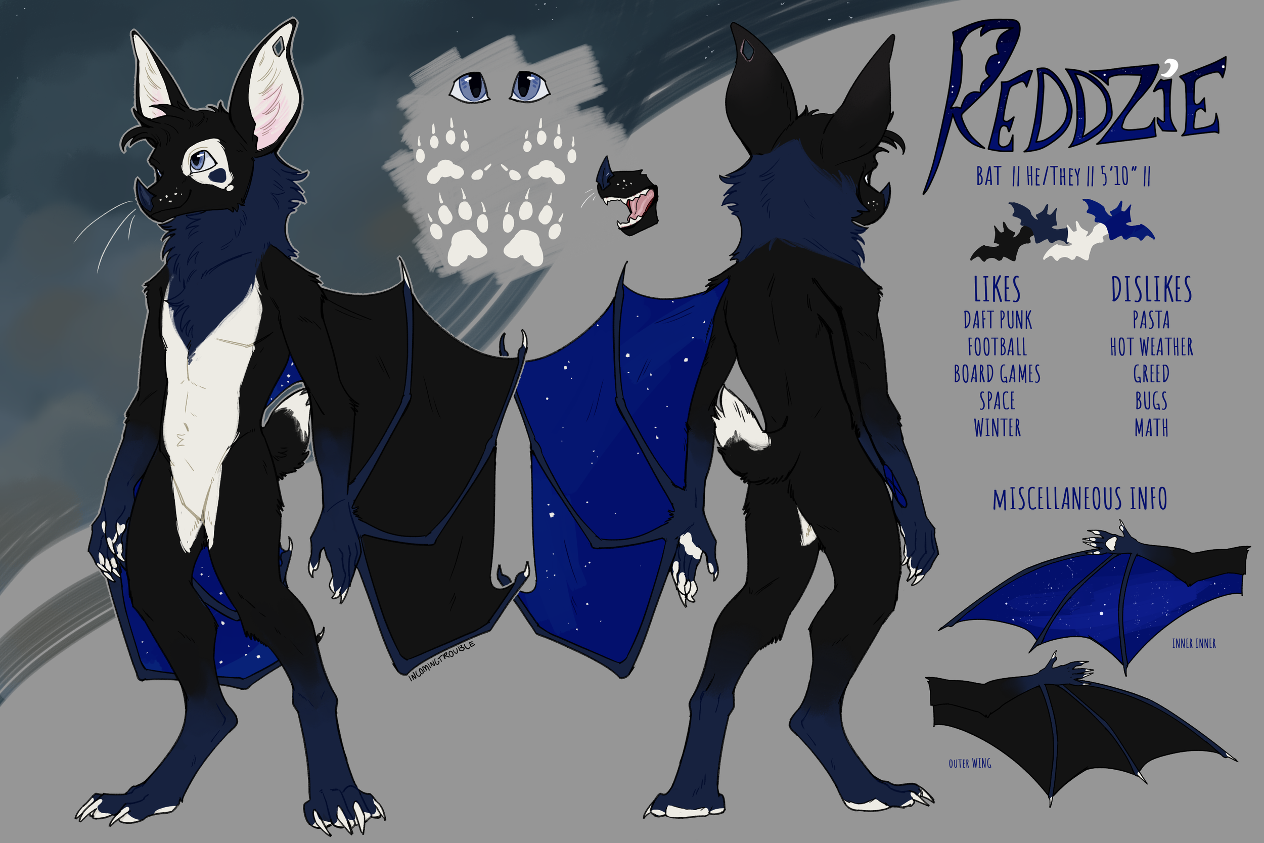 Reddz Ref sheet2.png