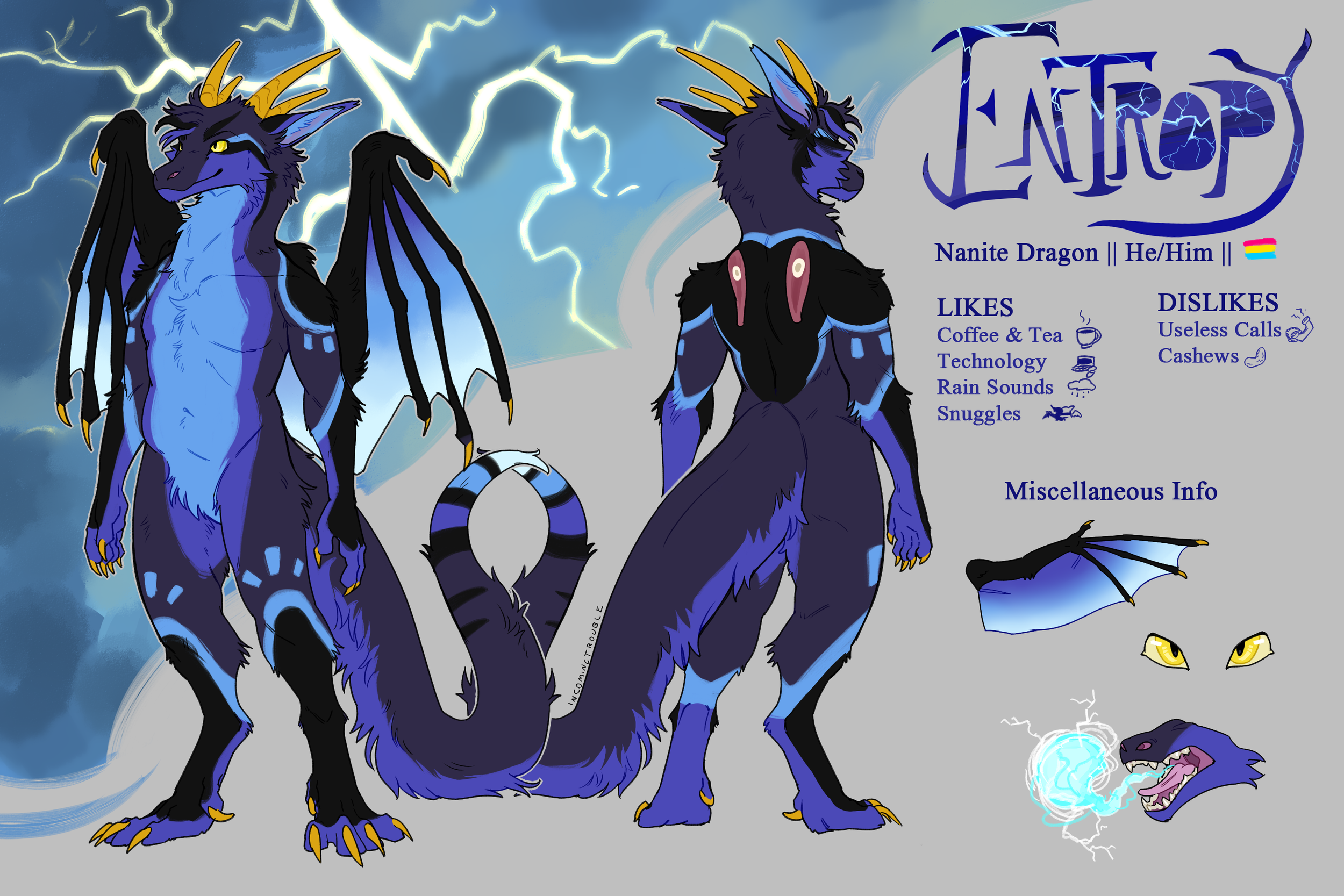 Entropy finished.png