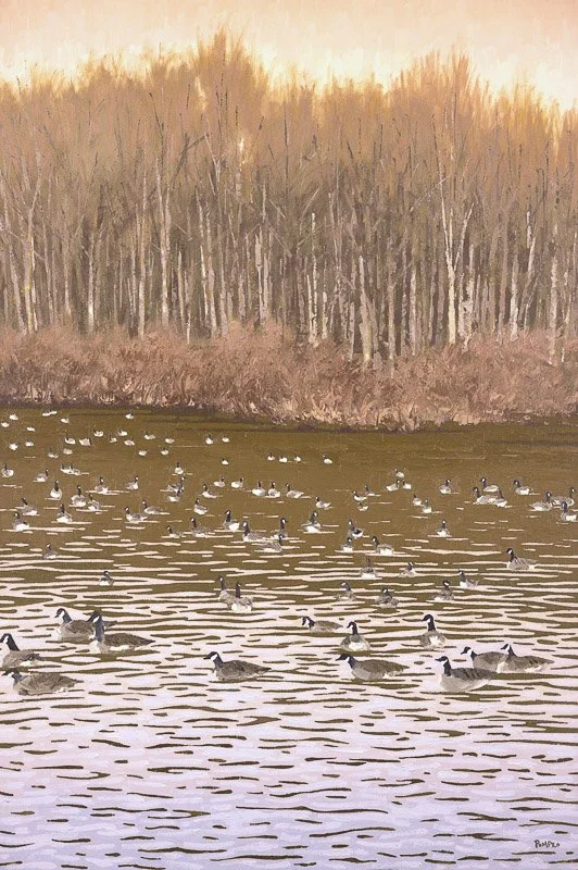 Geese on Earth