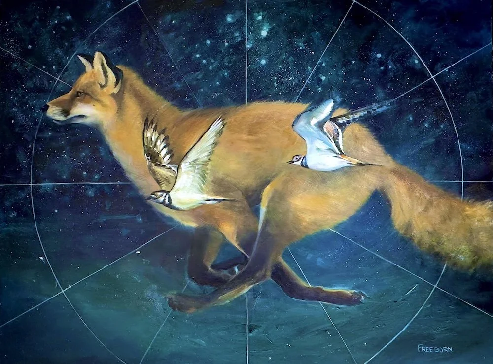 Circling the Universe