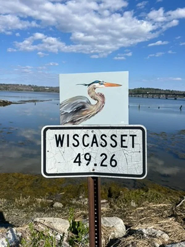 798E5AA4-5391-47F0-90D8-D7468AA6E53E_4_5005_c.jpg