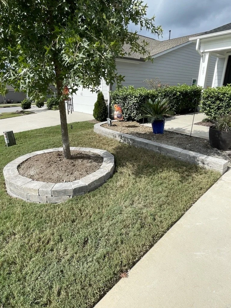 A suburban front yard with a young tree surrounded by a circular stone border. There is a small garden bed with a potted plant and some bushes near the house, and a sidewalk runs along the yard.