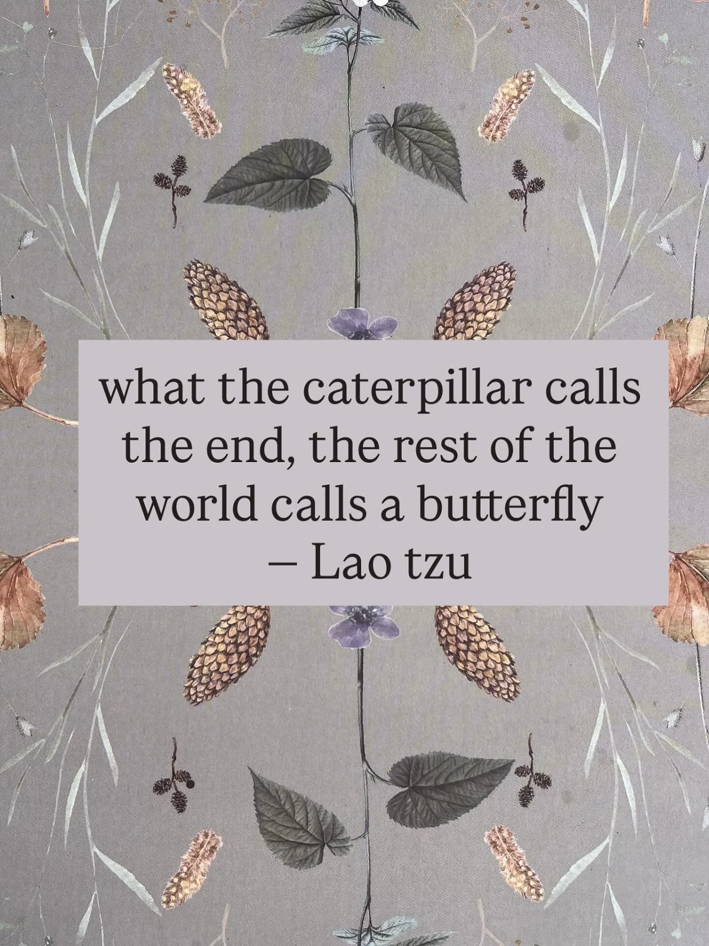 It&rsquo;s all about perspective 🐛🦋✨

#transformation #intention #trusttheuniverse #trusttheprocess