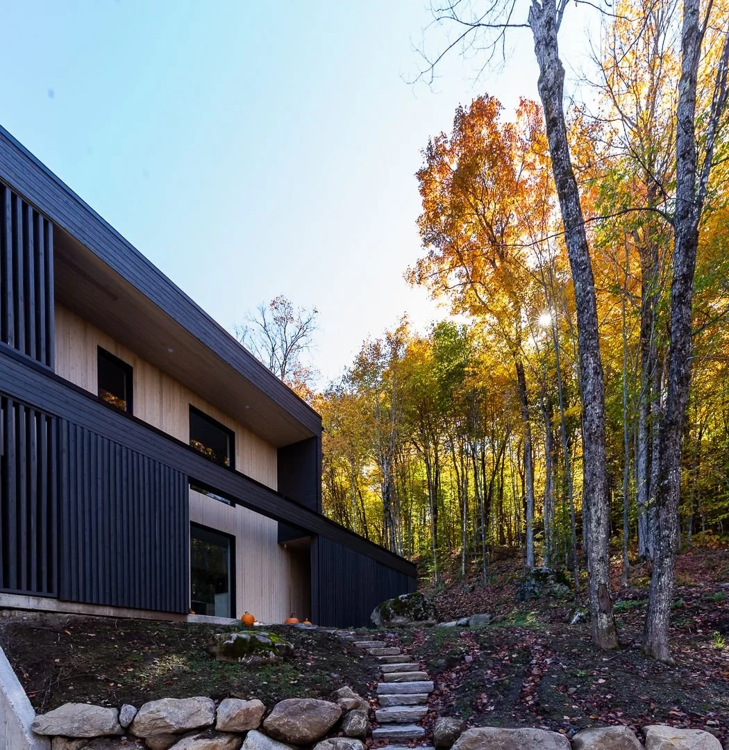 Projet BRAINNUSTUDIO_040.jpeg