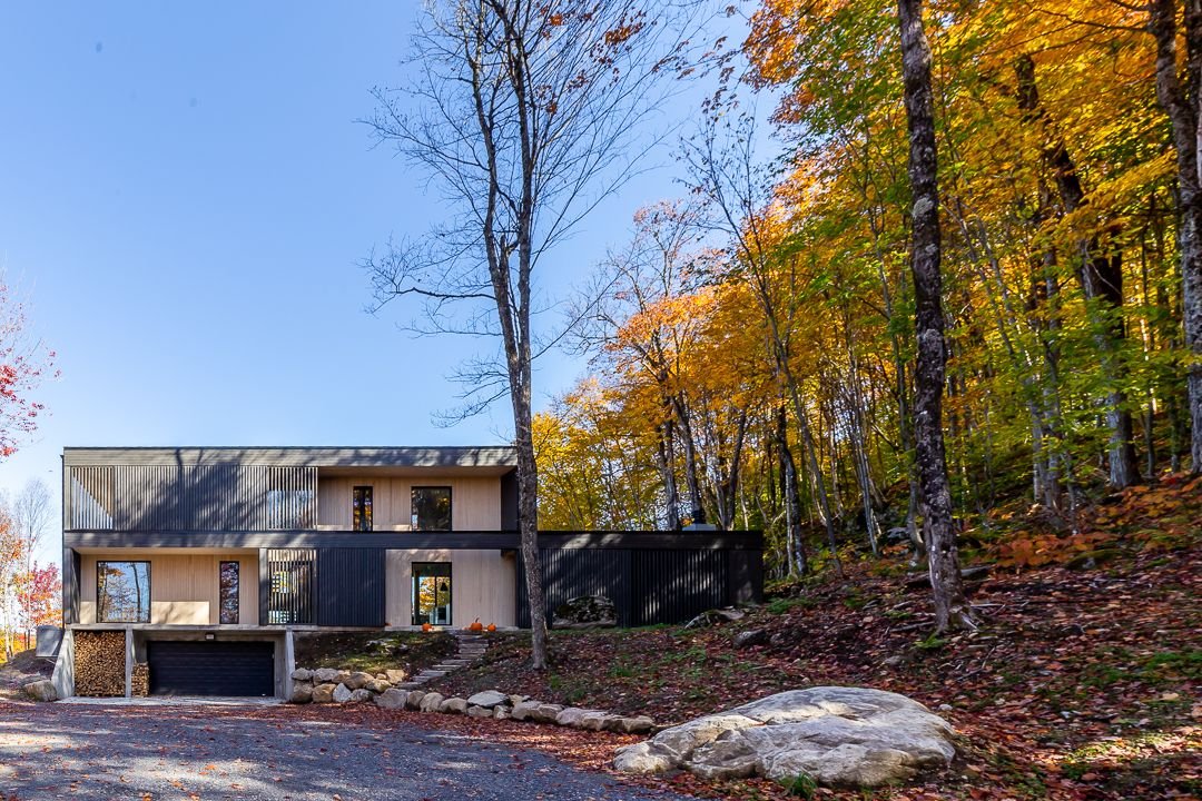 Projet BRAINNUSTUDIO_042.jpeg