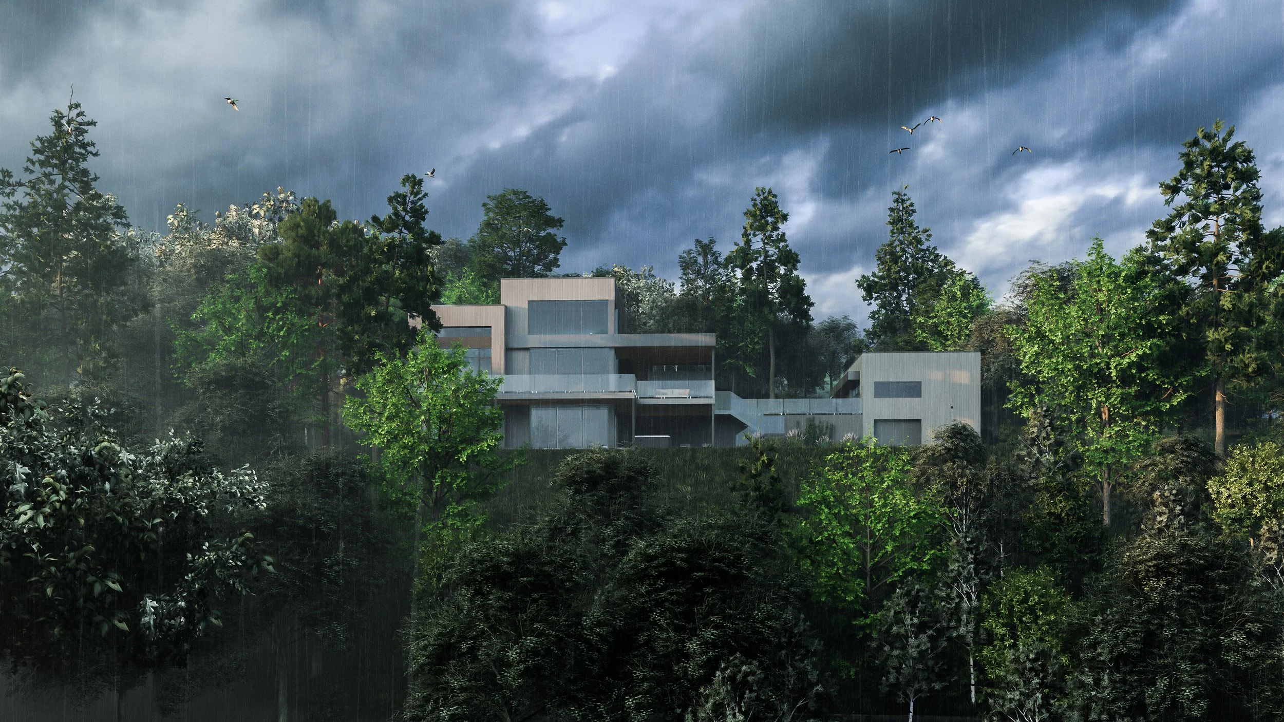 Brainnustudio_résidence du Memphrémagog_ext_16.jpg