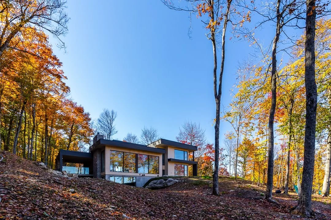 Projet BRAINNUSTUDIO_043.jpeg