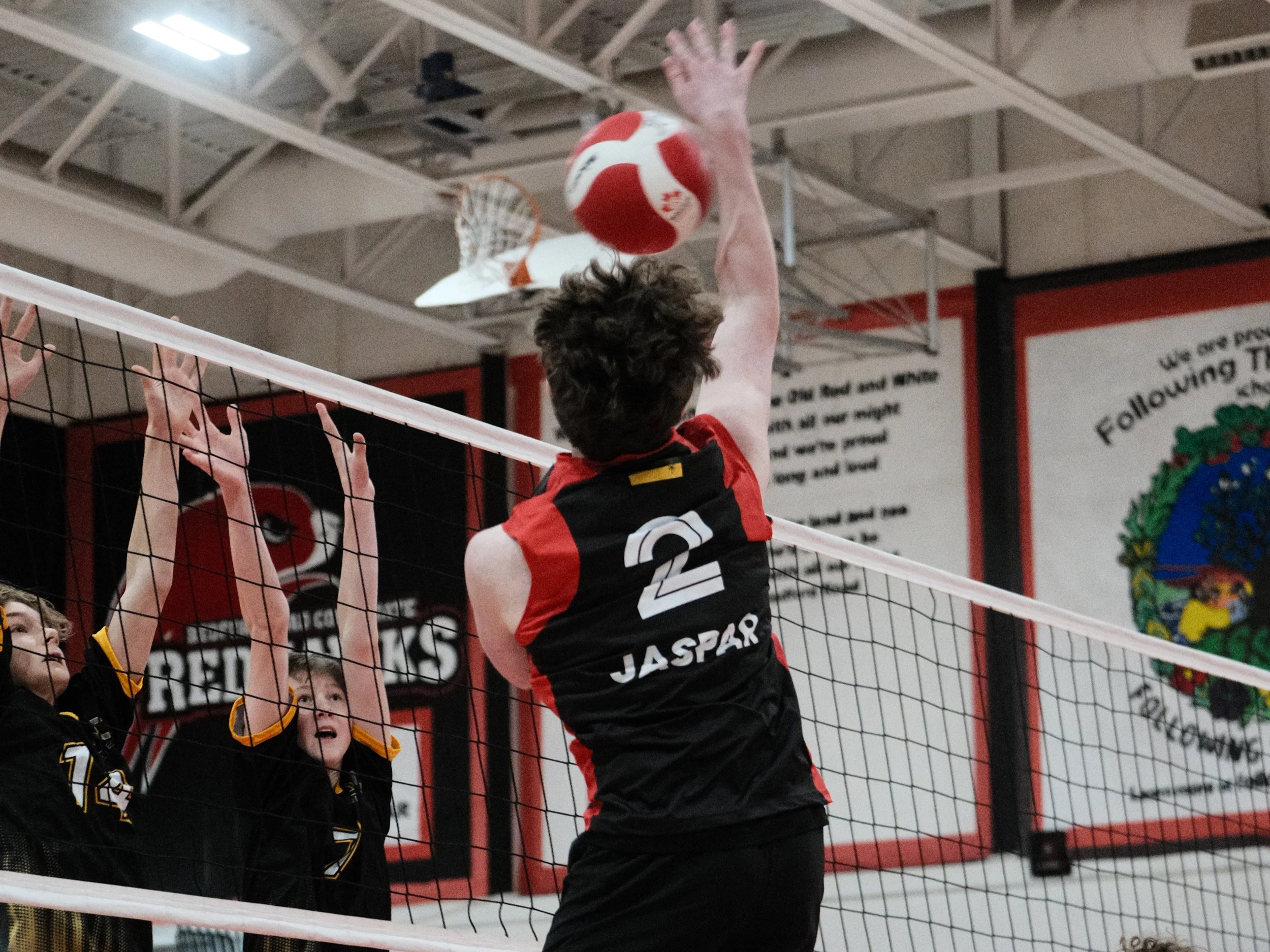 Black text on white background that reads 'Coming Soon. Stay Tuned' with a small star icon.