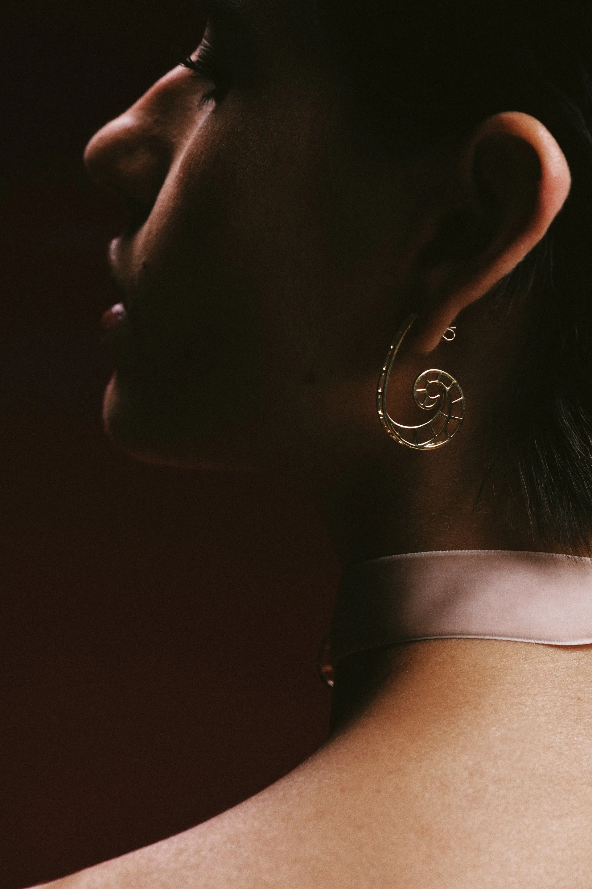 Leca Novo para Abigail Roiz