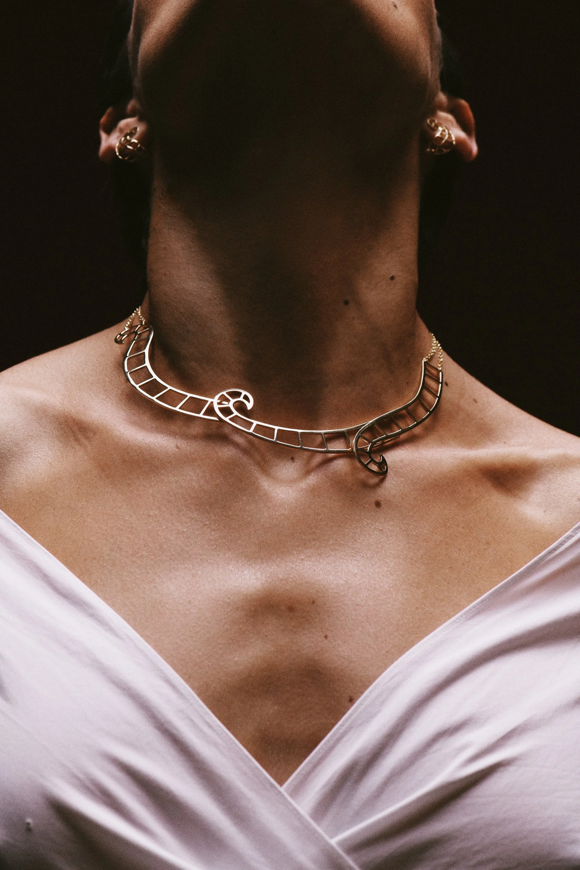 Leca Novo para Abigail Roiz