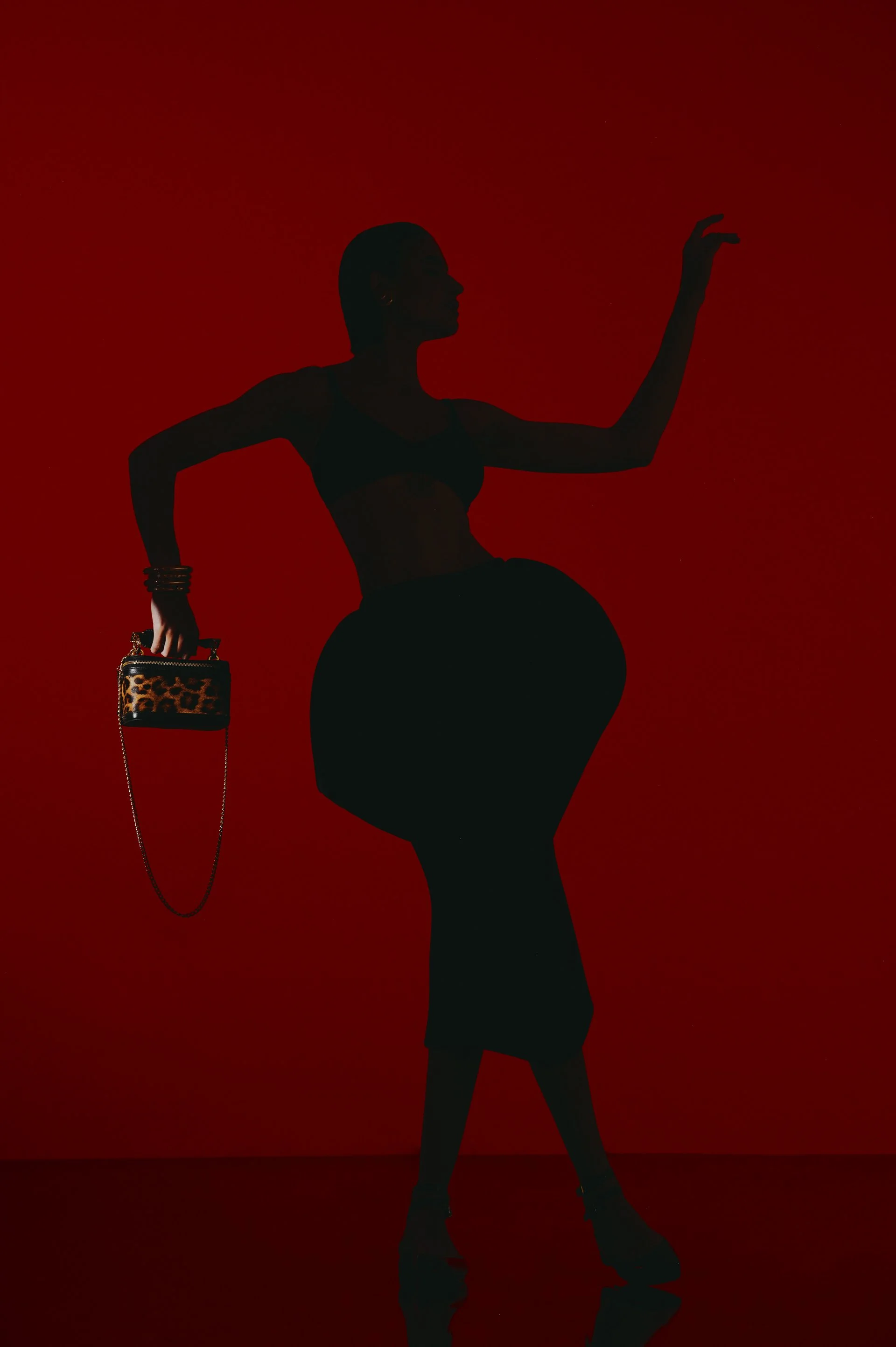 Leca Novo para Garzon Bags