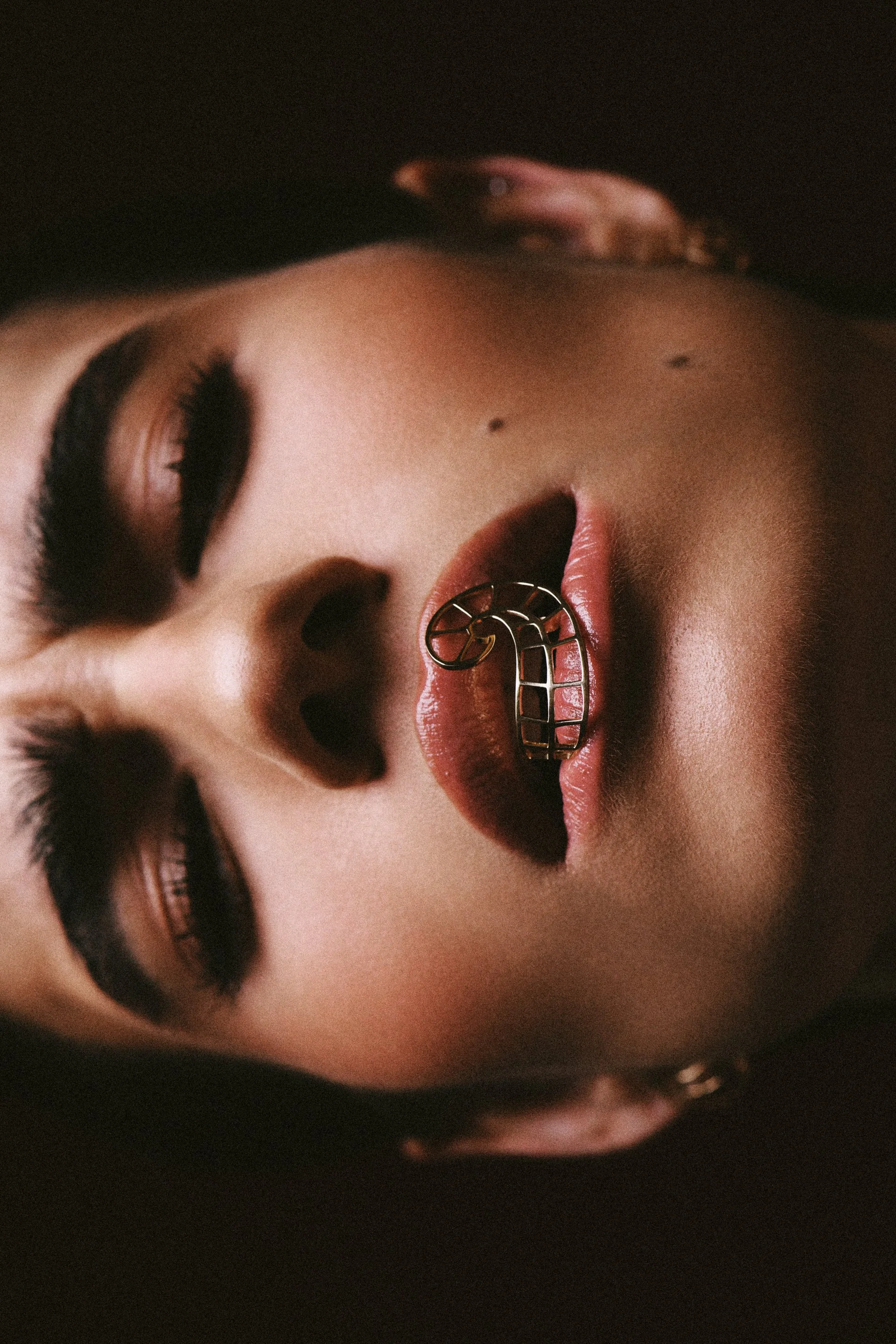 Leca Novo para Abigail Roiz